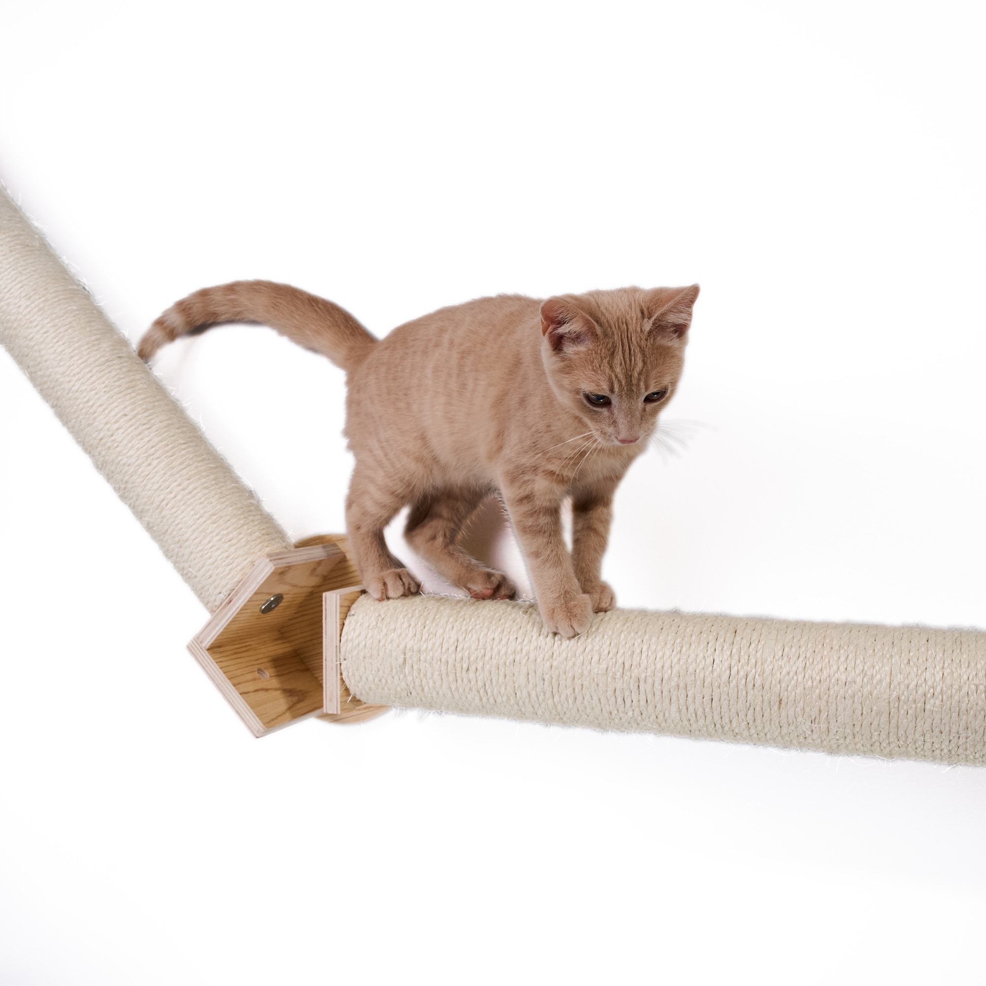 Armarkat W2307 Cat-Trees - View #9