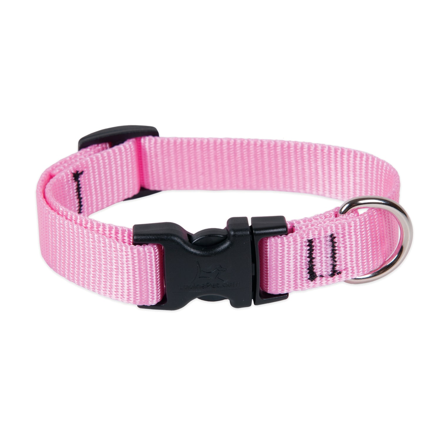 LupinePet  Basic Solids Pink Pink Nylon Dog Adjustable Collar 1PK