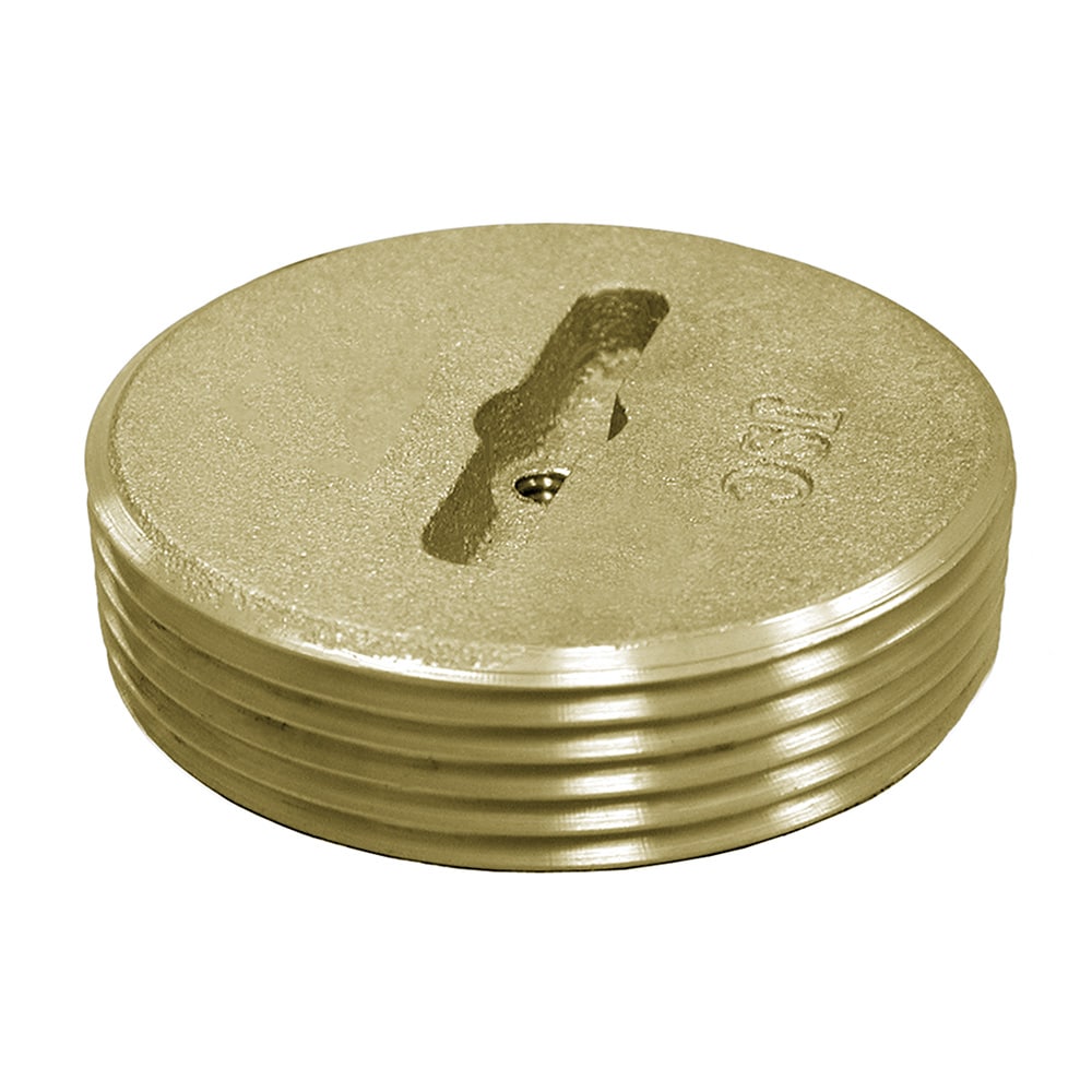 Jones Stephens P58200 2 Slotted Brass C/O Plug W/Tap