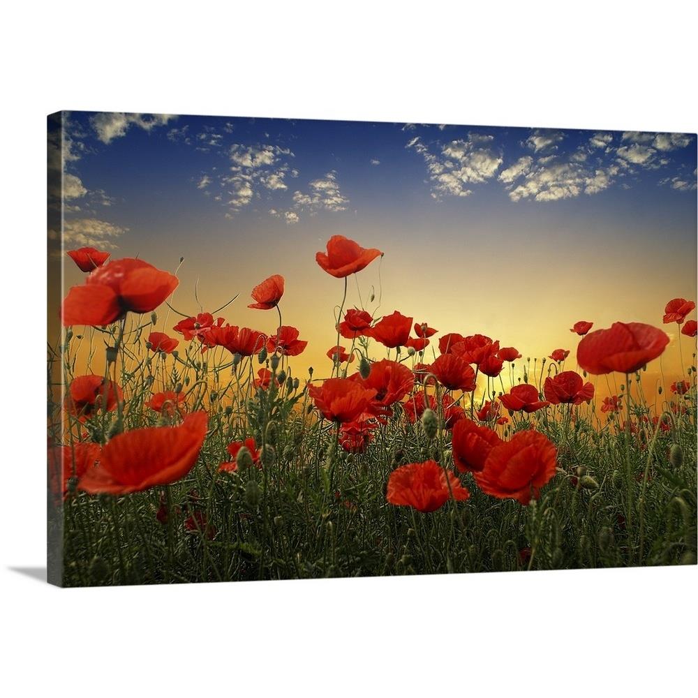 GreatBigCanvas 2380255-24-30X20 20-in H x 30-in W Abstract Print on Canvas