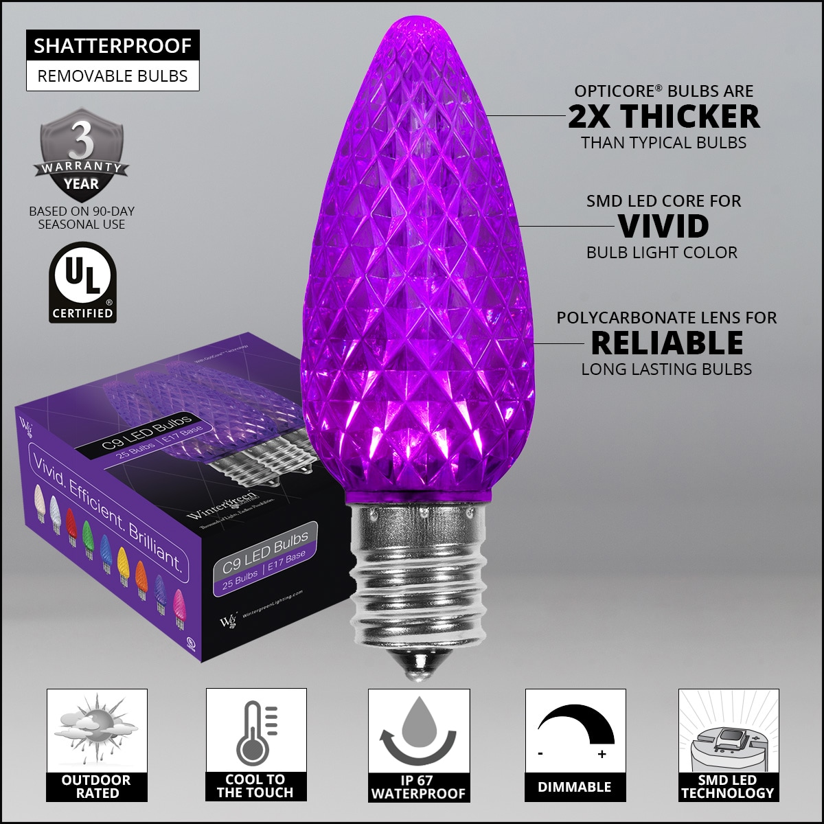 Wintergreen Lighting 72661 String-Light-Bulbs-Fuses - View #2
