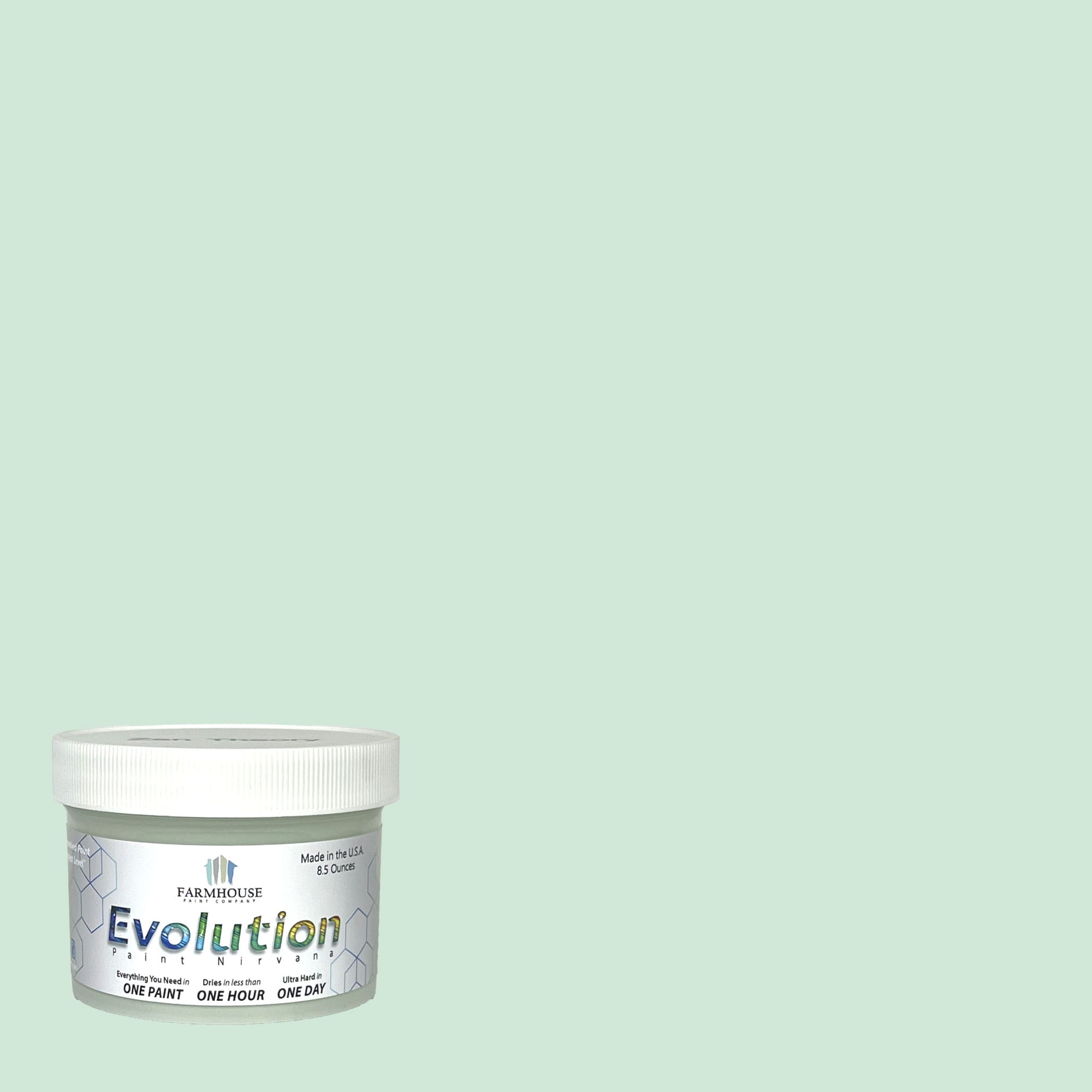 Evolution Paint EVP-ZT-8 Satin Zen Theory Enamel ( Half-pint )