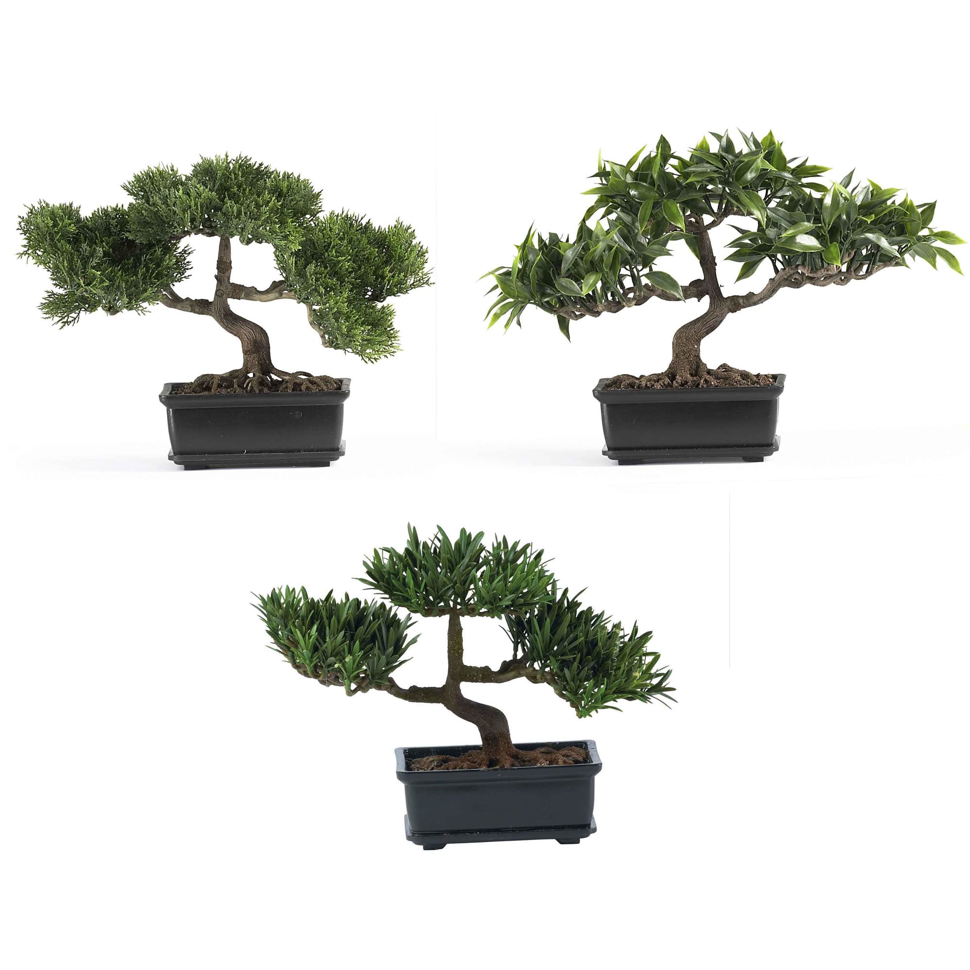 Nearly Natural 4121 8.5-Inches Green Indoor Desktop Silk Artificial plant
