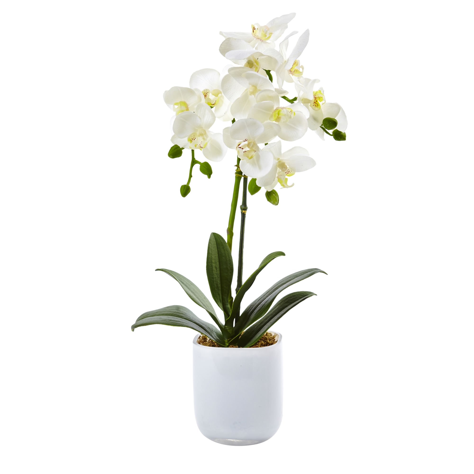 Nearly Natural 14-in Blue Indoor Hyacinth Artificial Flower in the