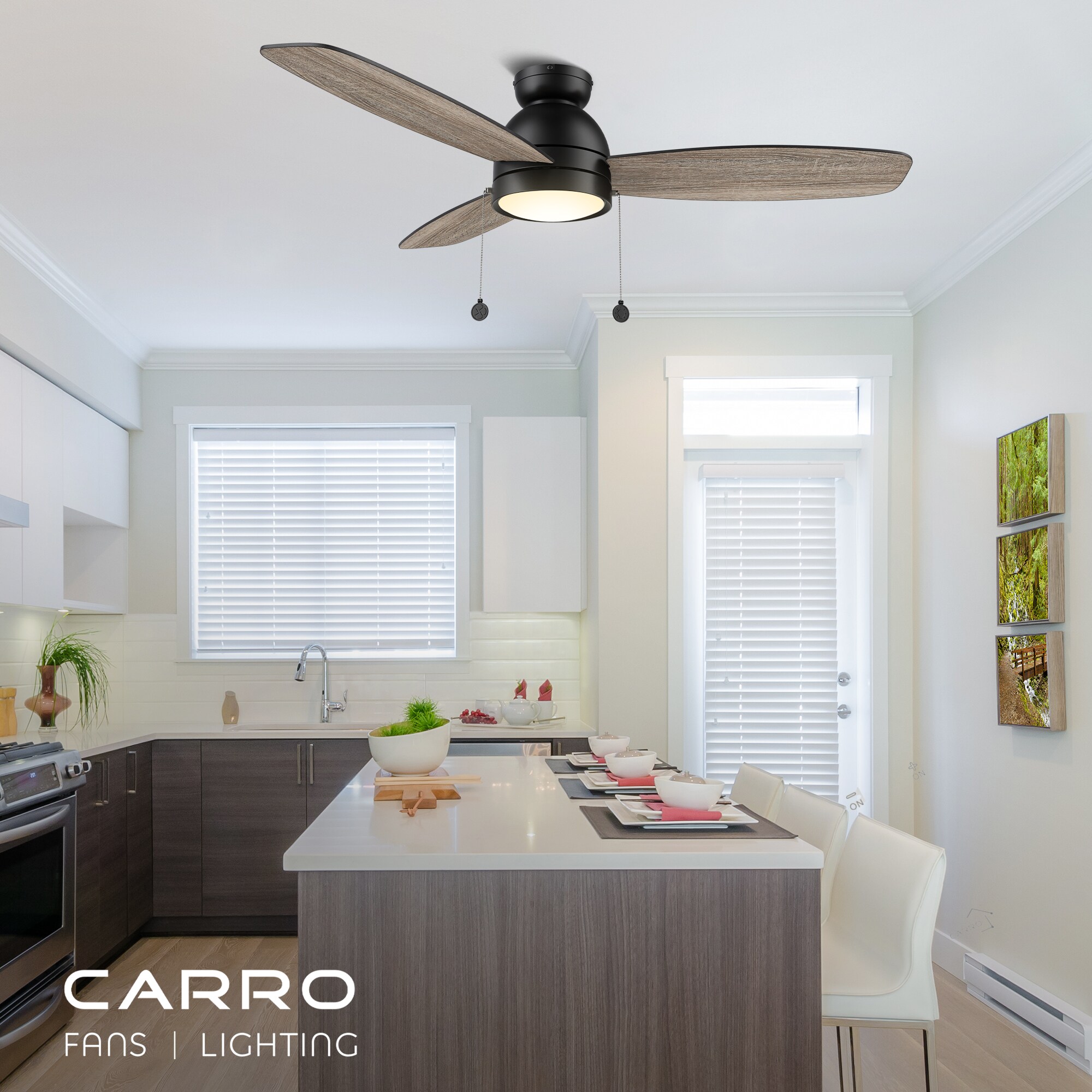 CARRO USA LCFP523Q5-L11-BO-FM Ceiling-Fans - View #2