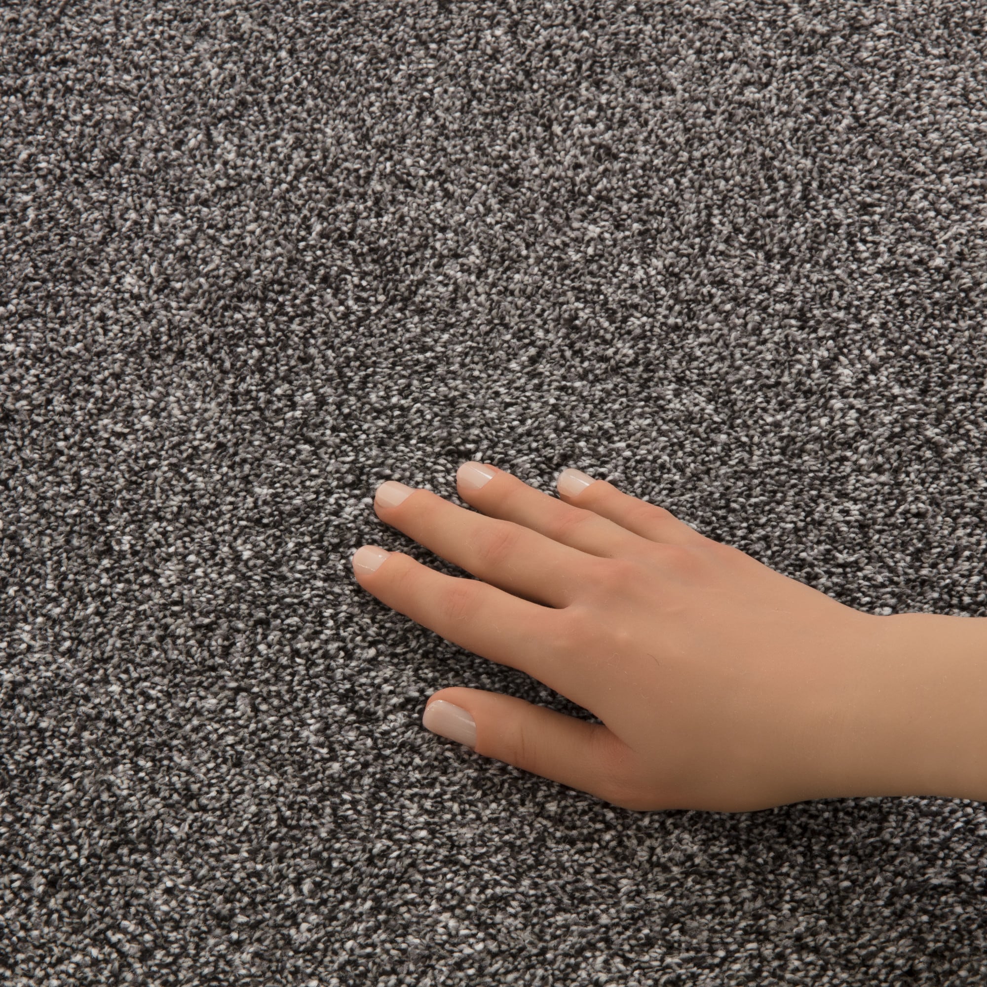STAINMASTER PetProtect 7L930-568-SAMP Carpet-Samples - View #8