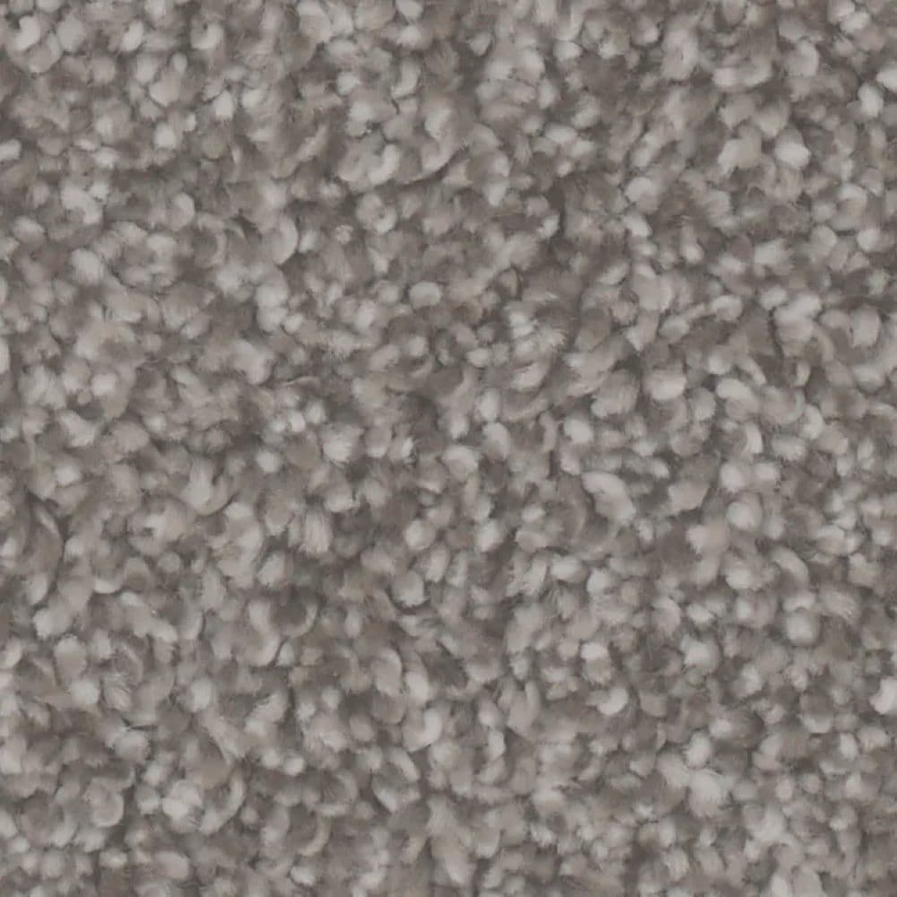 STAINMASTER S9977-20008-1200-MO Paradise III Driftwood Gray 77-oz sq yard Polyester Textured Indoor Carpet