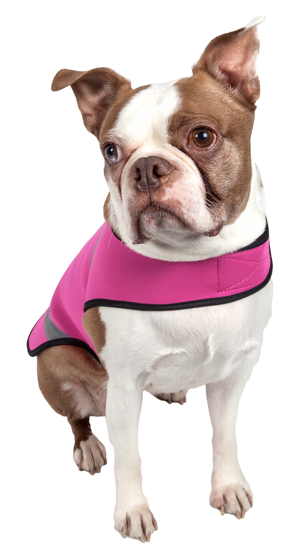 Pet Life 36PKLG Dog-Apparel - View #2