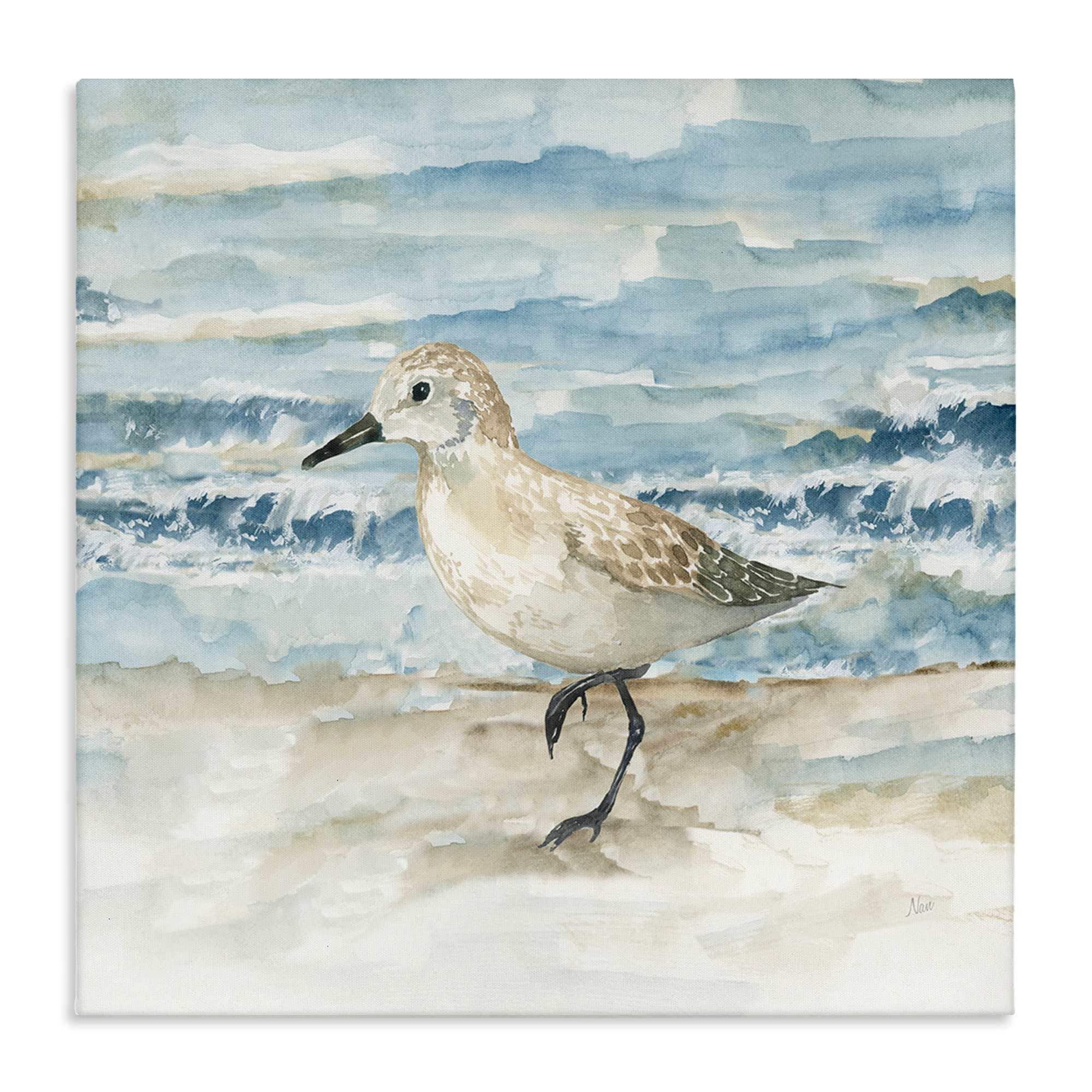 Stupell Industries BS-156-CN-17X17 Balancing Sandpiper on Shore Canvas Wall Art By Nan 17 x 17
