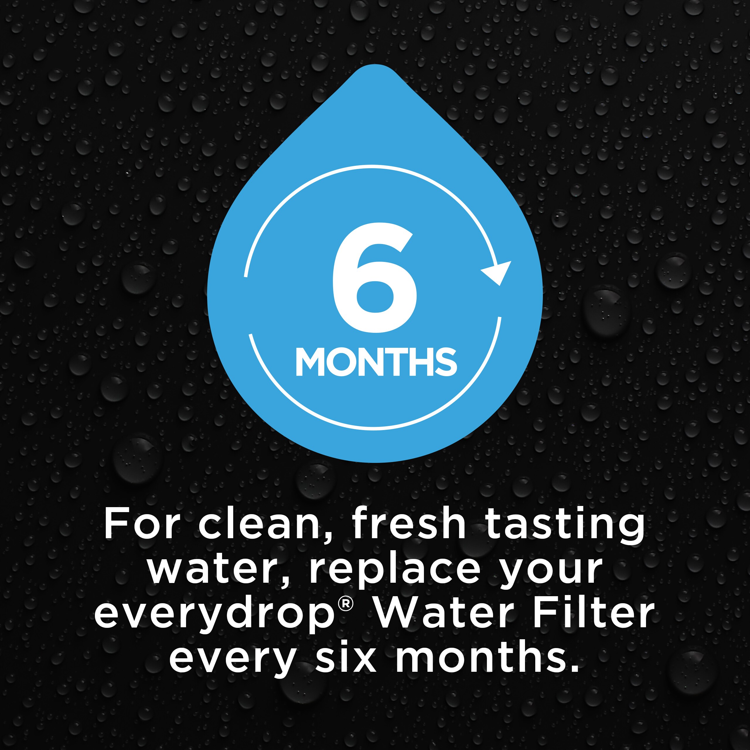 everydrop EVFILTER5 Refrigerator-Water-Filters - View #6