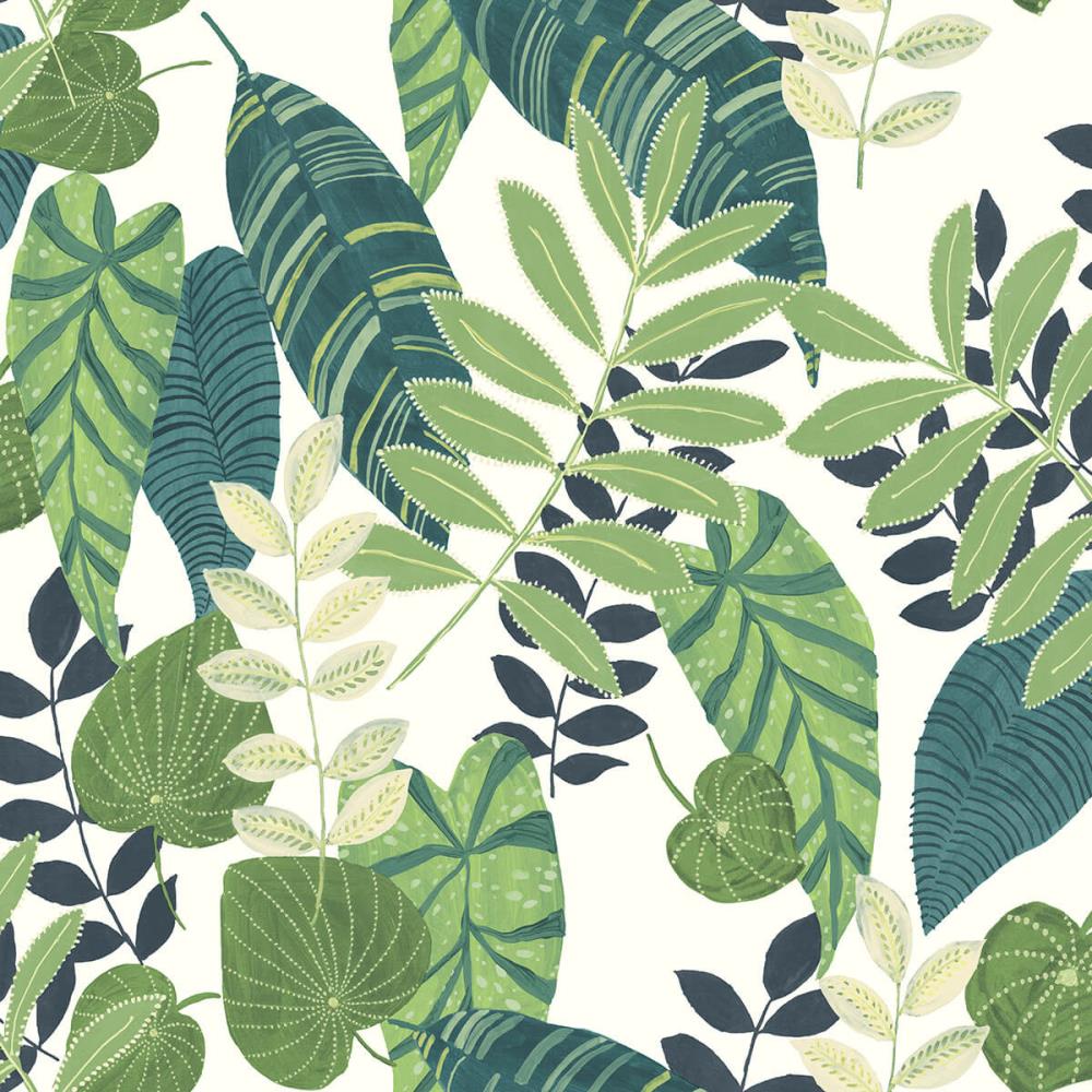 Create a Jungle Paradise with Tropical Monstera Leaves Boho Wallpaper   Paper Plane Design