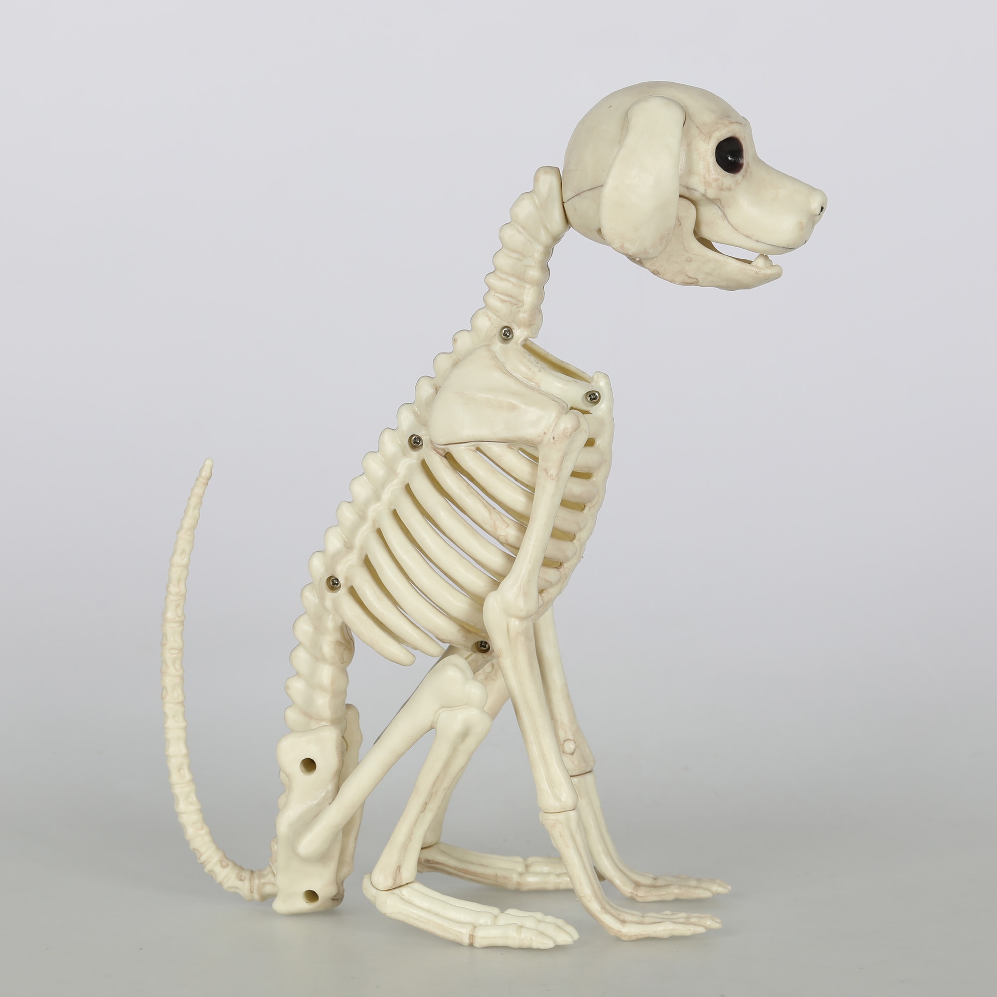 Haunted Living W84687 Table-Halloween-Decor - View #3