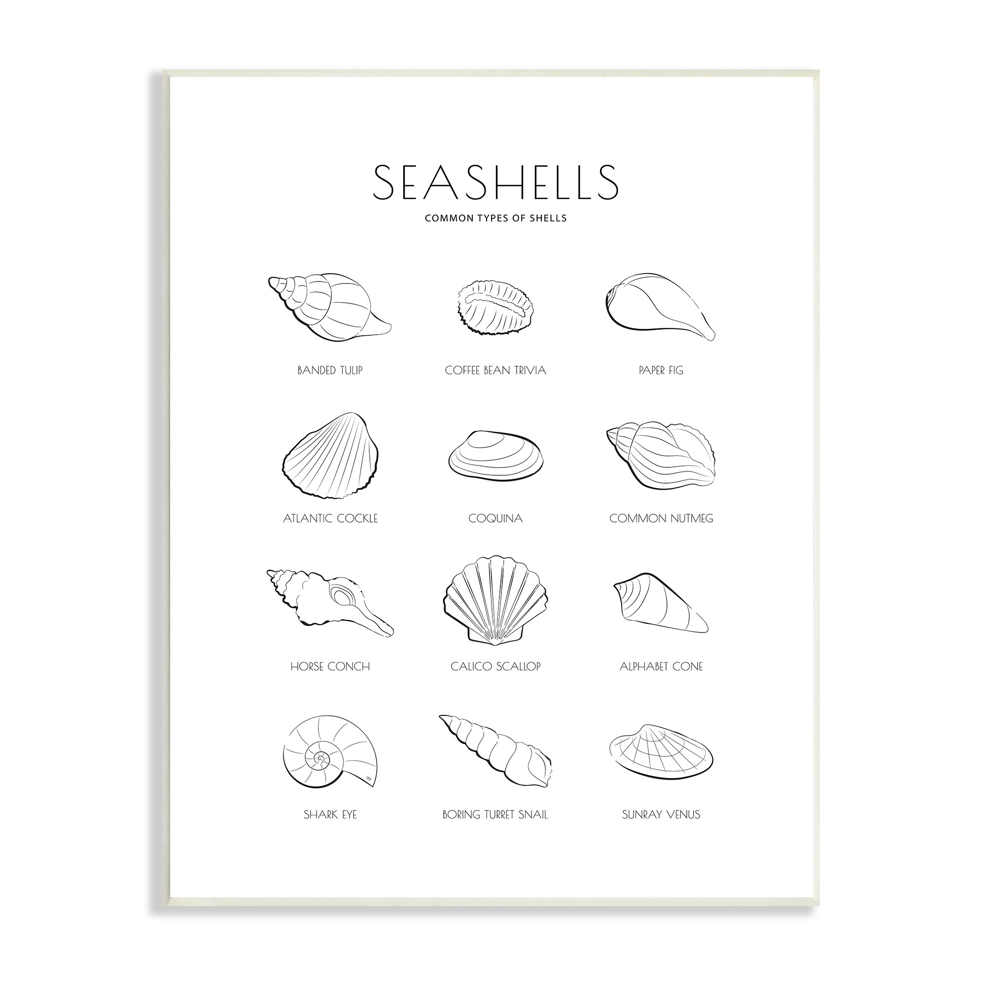 Stupell Industries Various Seashells Blue Beach Line Patterns 4 Pillow Set,  18 x 18