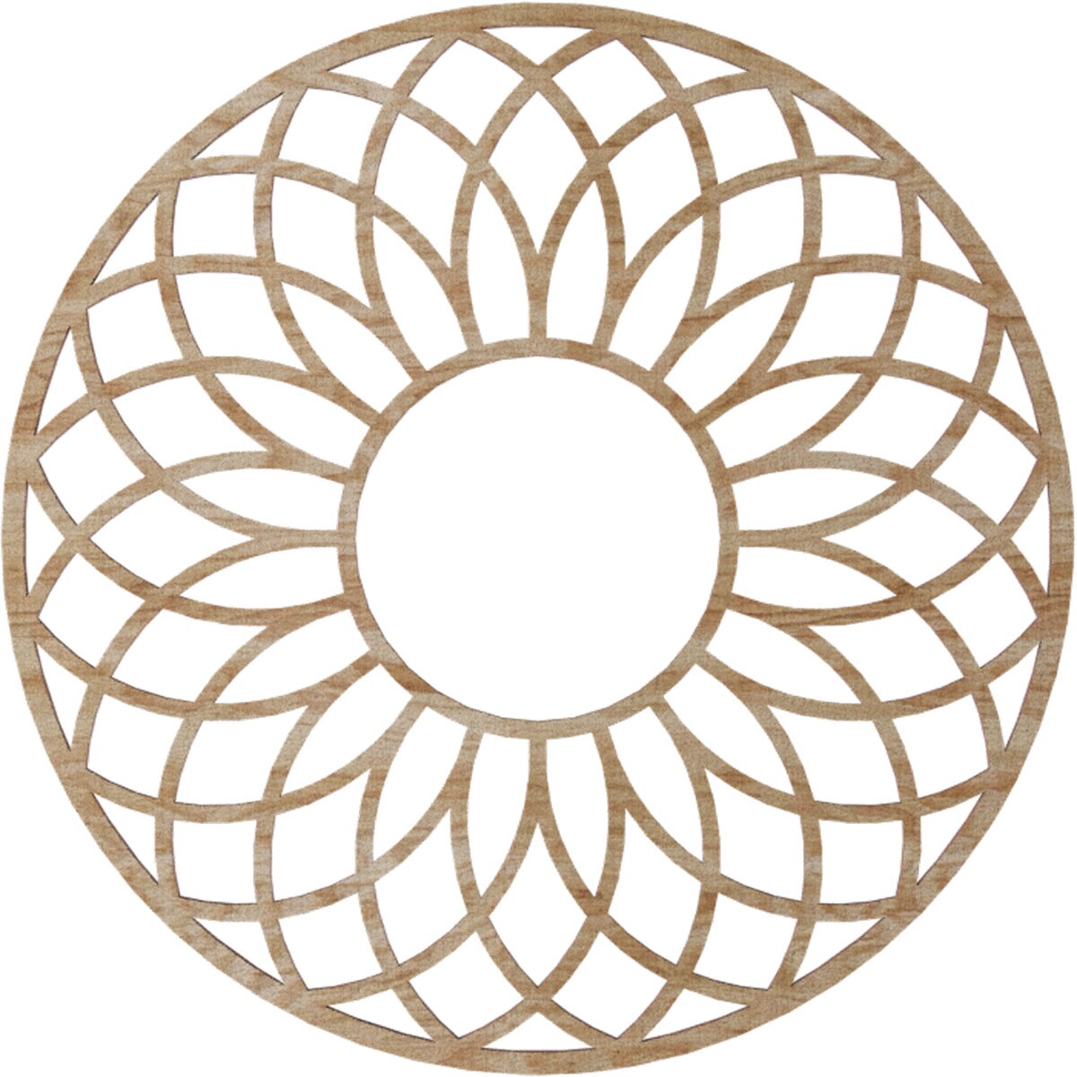 Ekena Millwork CM16AM2-03500 Ceiling-Medallions - View #3