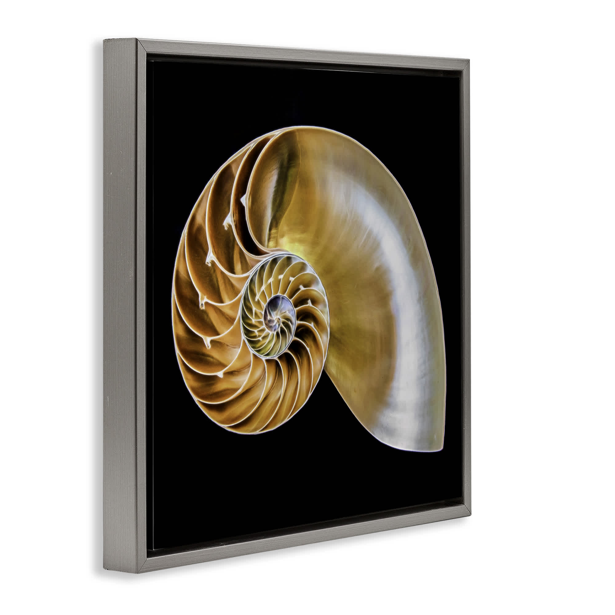 Stupell Industries BT-351-FFL-24X30 Wall-Art - View #2