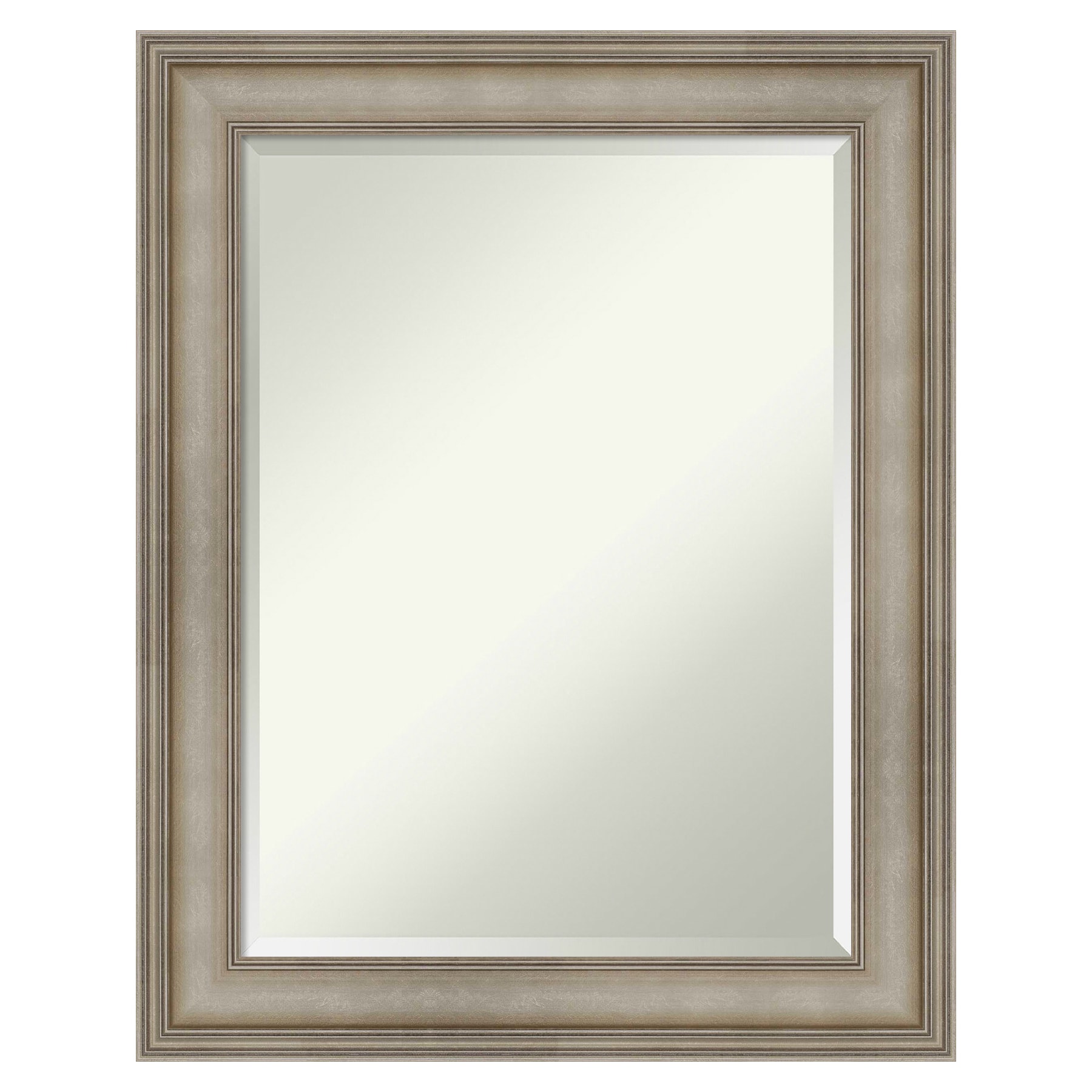 Amanti Art Mezzanine Antique Silver Frame 23.38-in X 29.38-in Framed 