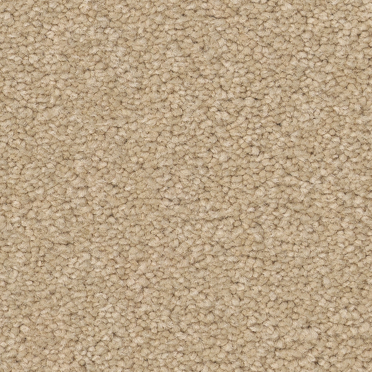 STAINMASTER PetProtect 7L88300106 Best Of Breed III Before Dawn Brown 68.2-oz sq yard Nylon Textured Indoor Carpet