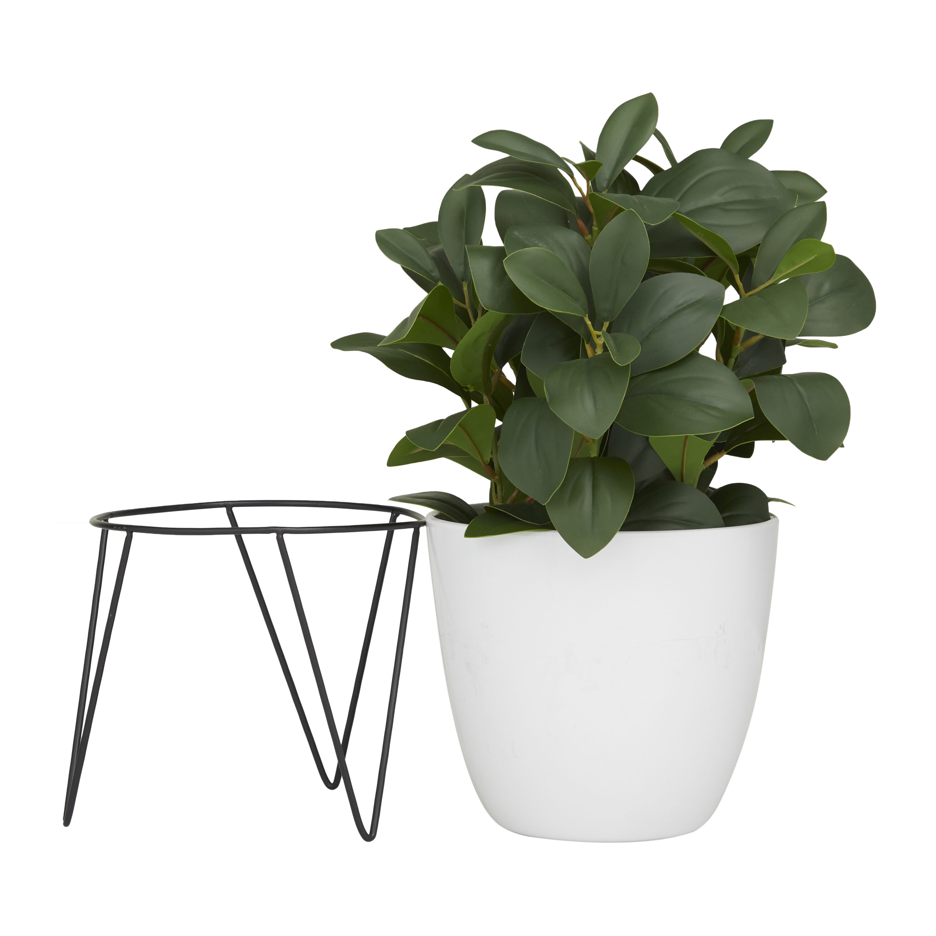 The Novogratz 94034 Artificial-Plants-Trees - View #4