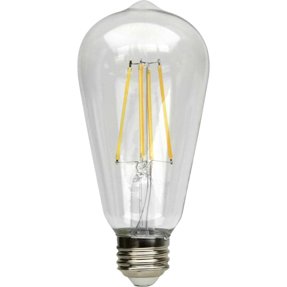 Progress Lighting ST19 Warm White Medium Base (E-26) Dimmable Light ...