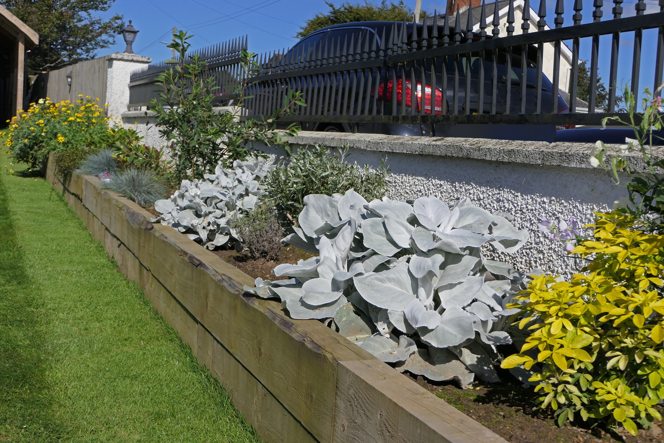  1658 annuals - View #5