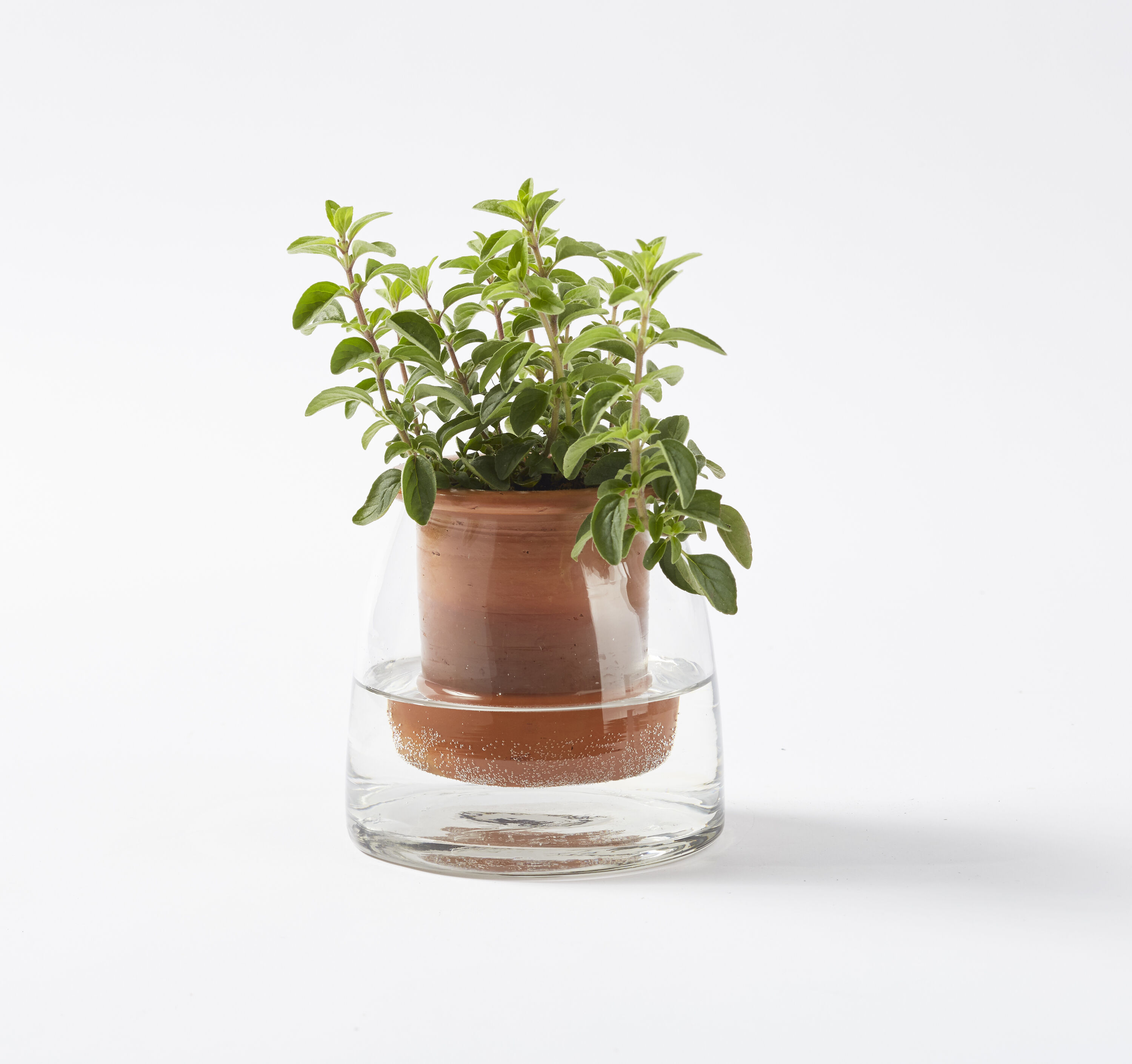 Citrine 8157 Planter-Window-Box - View #3