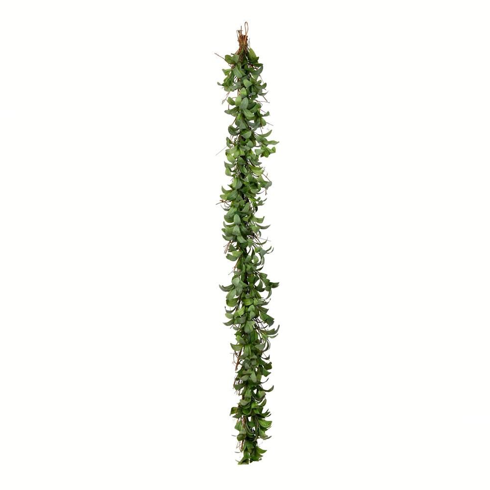Vickerman FG191212 5-in Green Indoor Hanging Lambs Ear Artificial Garland