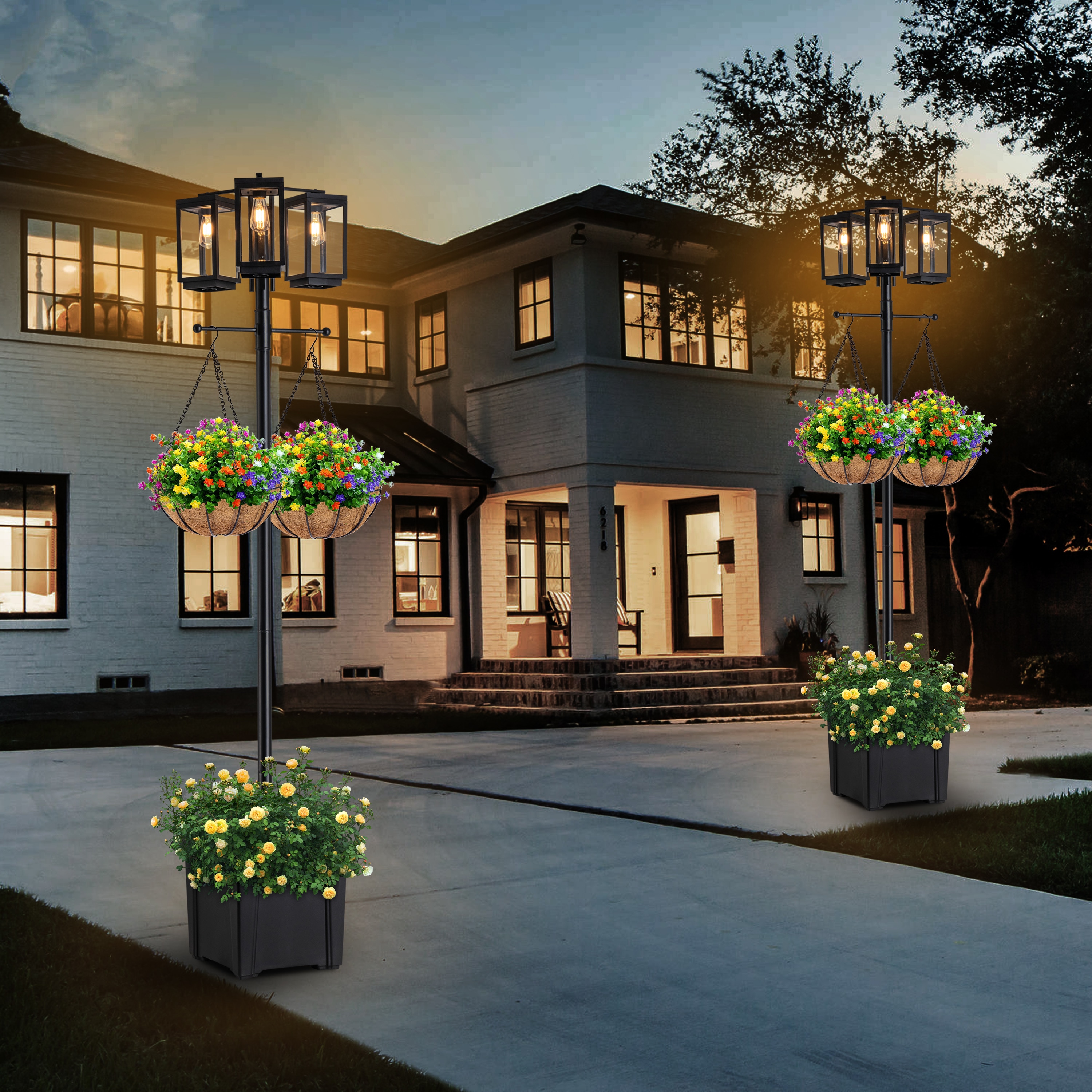C Cattleya LCA2506-JUN-P Complete-Post-Lights - View #7