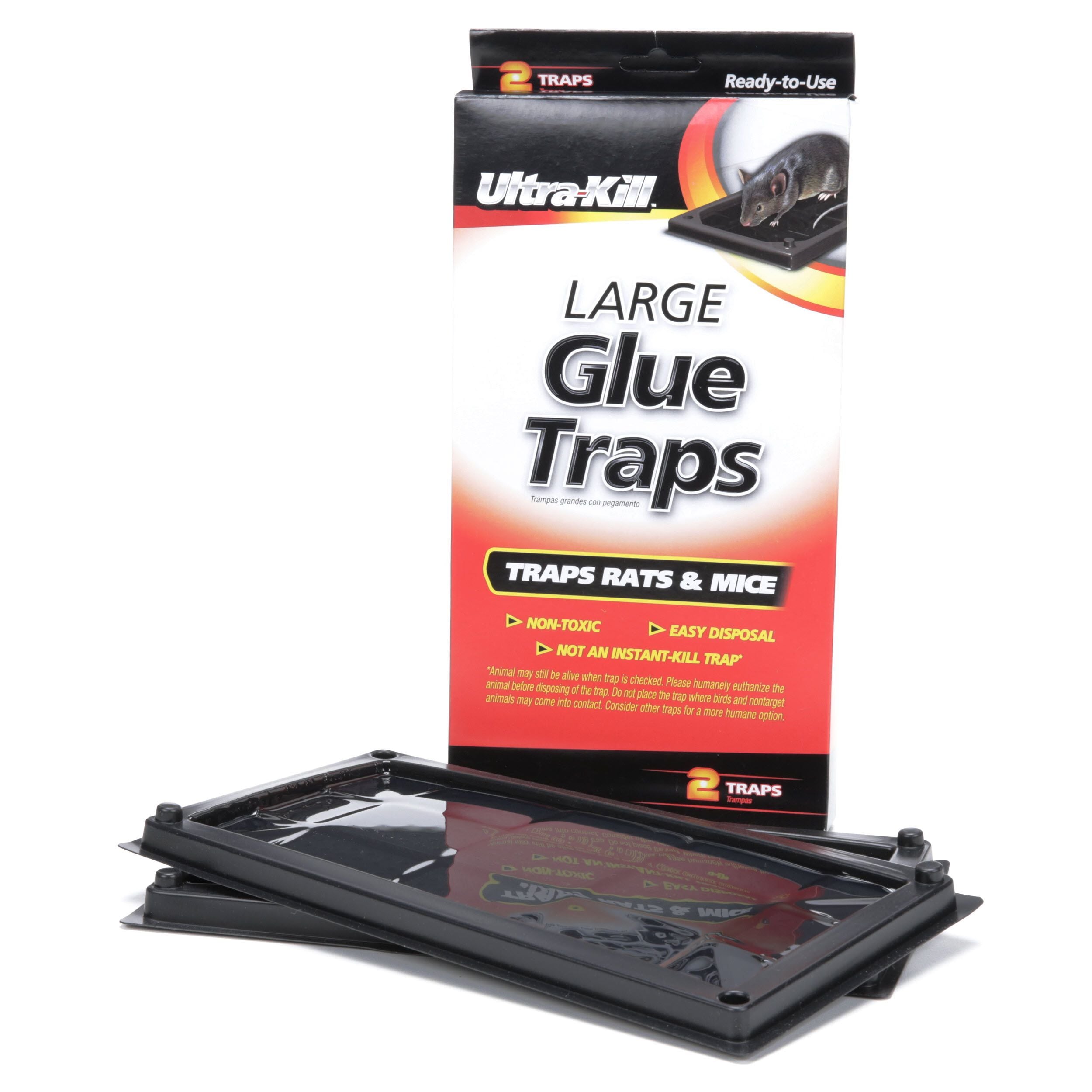 rat glue traps lowe's