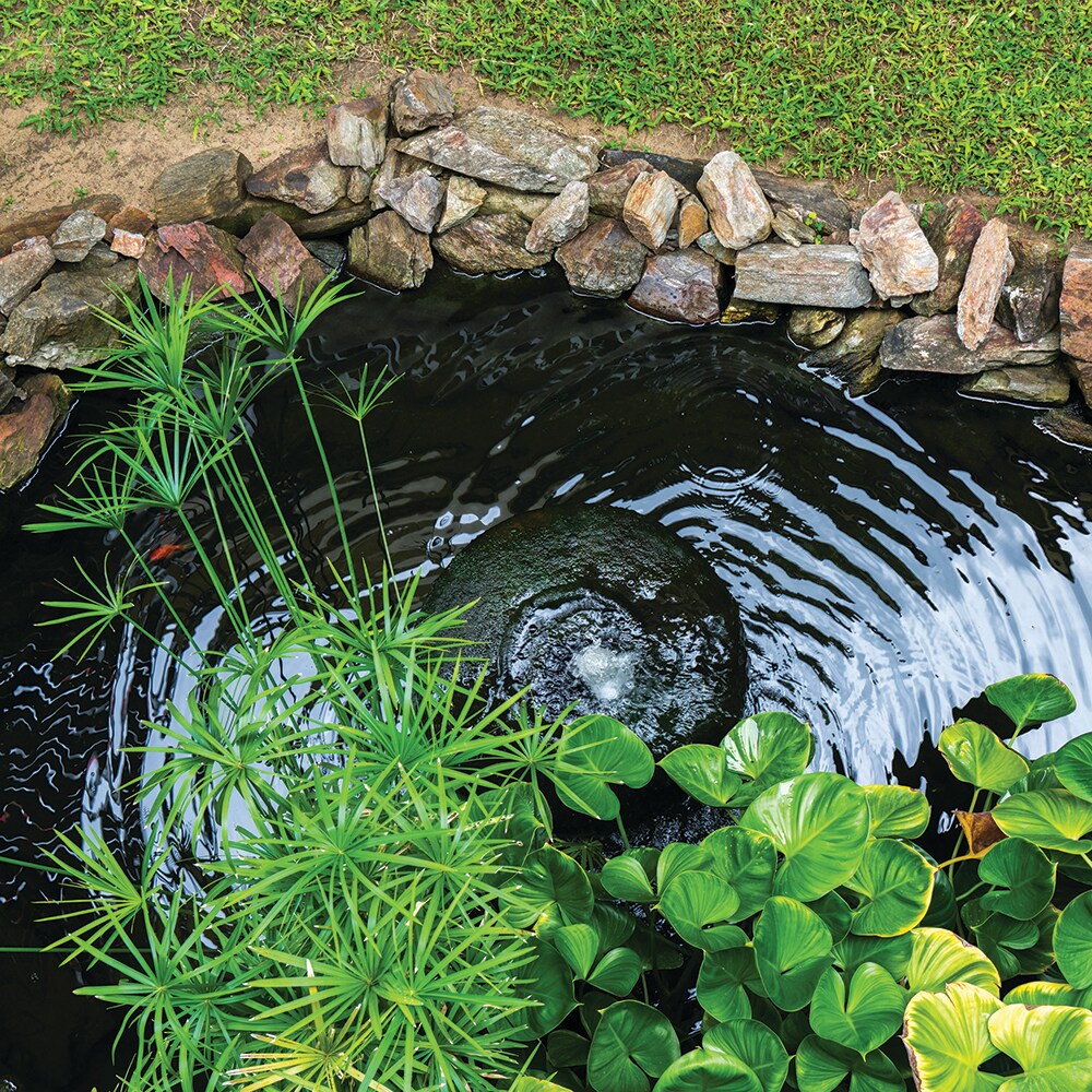 Superior Pump 90083 Pond-Pumps - View #7