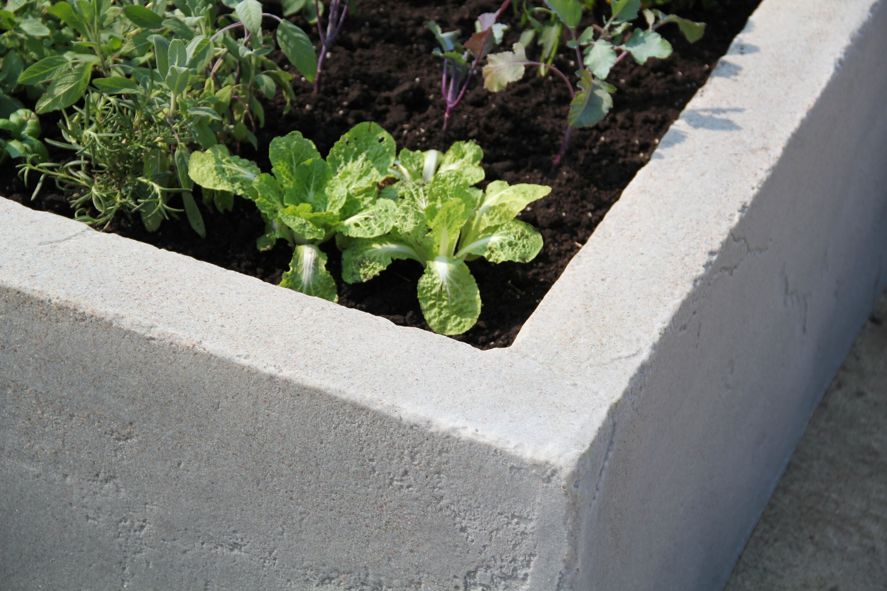 Dekorra 210-TV Planter-Window-Box - View #4