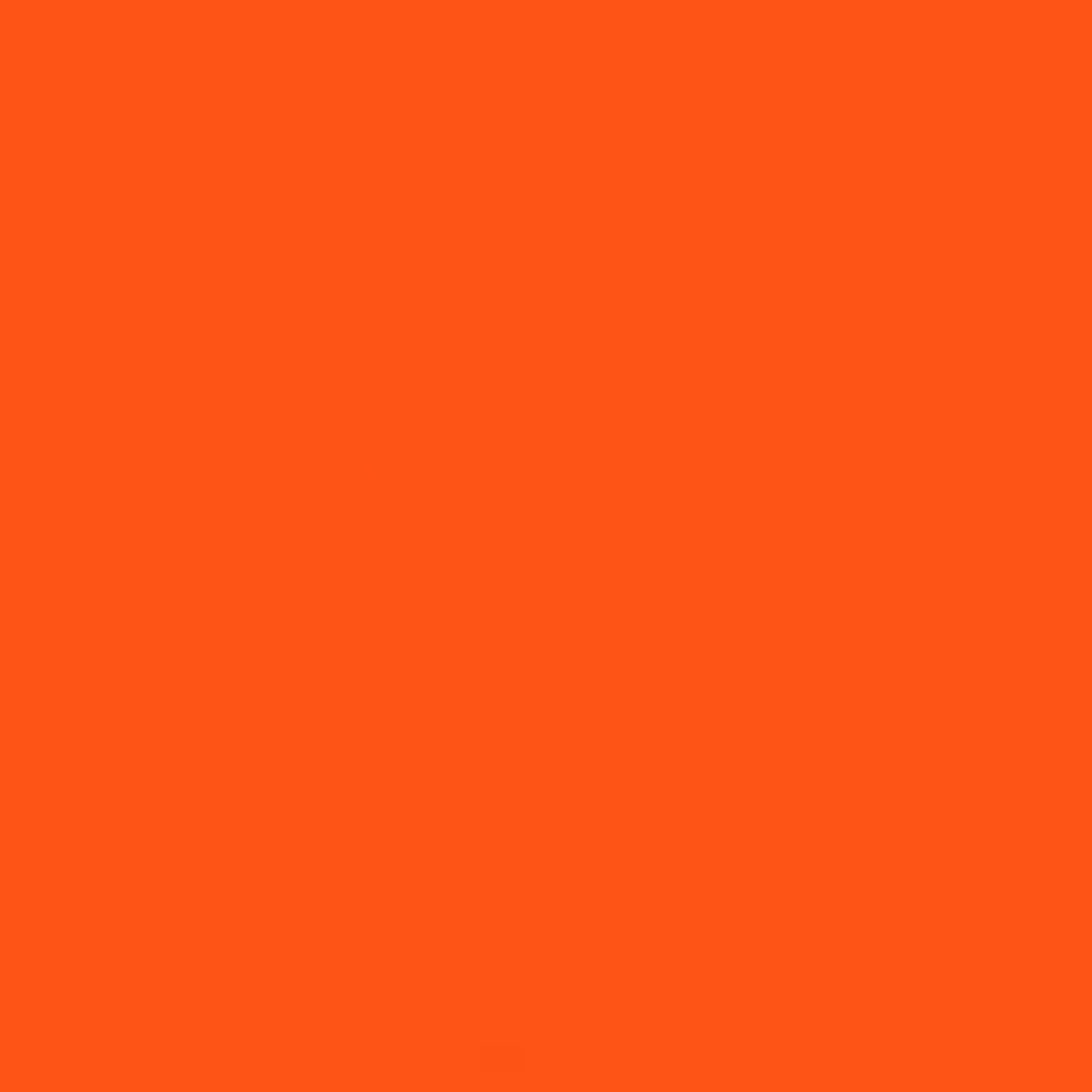 3M02525 Nastro Antigraffio Orange 48x55mm - 2L Color - Vernici per  Carrozzeria