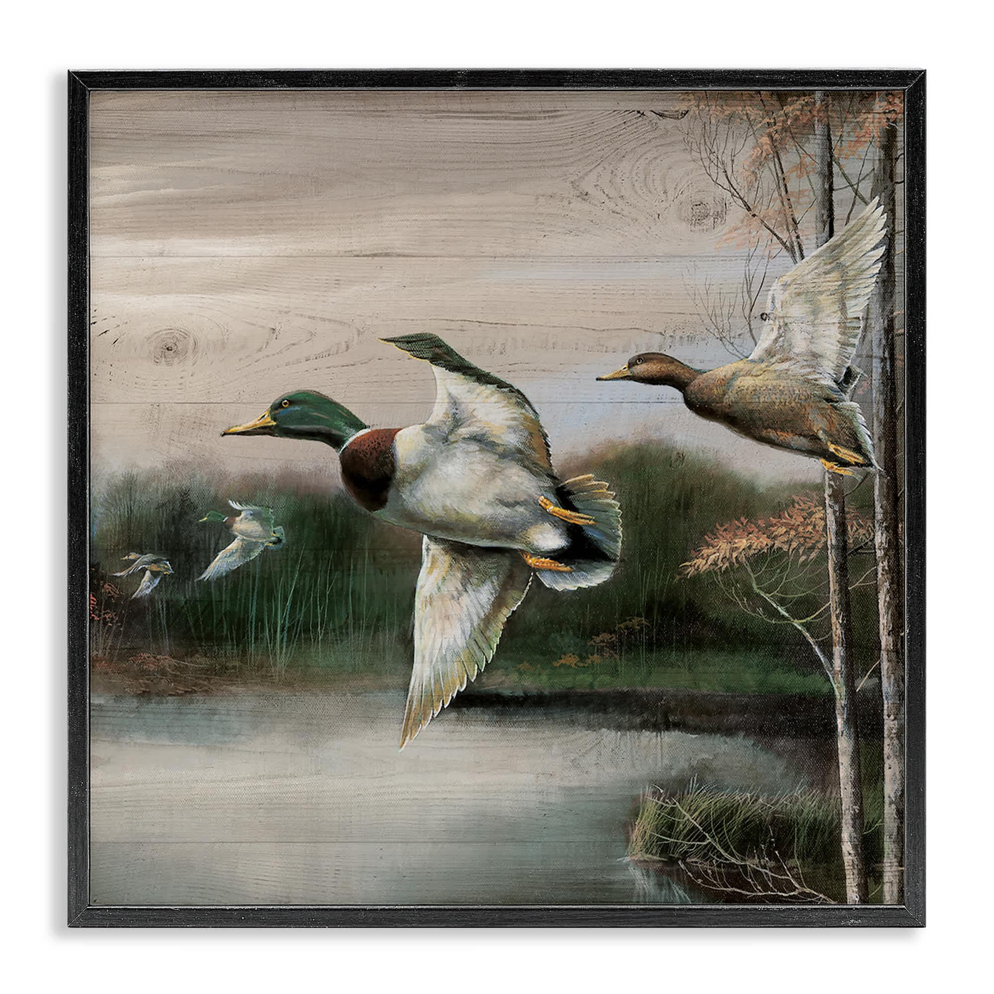 Stupell Industries BS-213-FR-12X12 Flying Ducks in Rustic Nature Black Framed Giclee Art By Ruane Manning 12 x 12