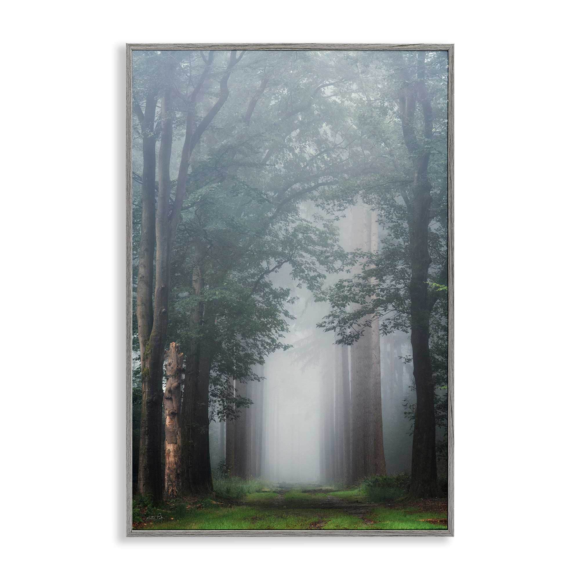 Stupell Industries BT-590-GFF-16X24 Calm Forest Clearing Framed Giclee design by Martin Podt