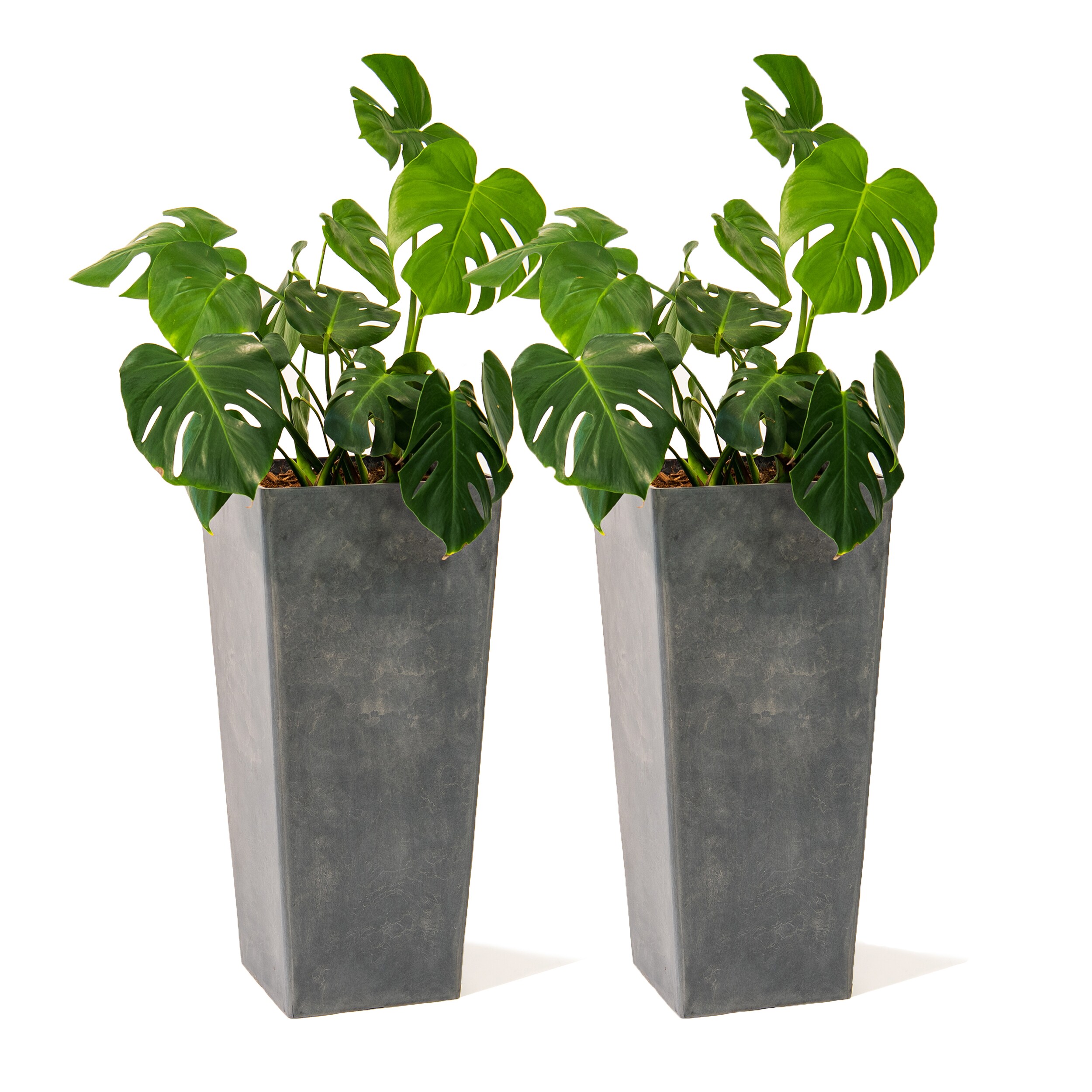 XBrand LW1664GR2 2 -Pack Square 13.0-in W x 13.0-in L Gray Plastic Indoor/Outdoor Self Watering Planter