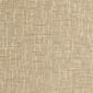 Birch