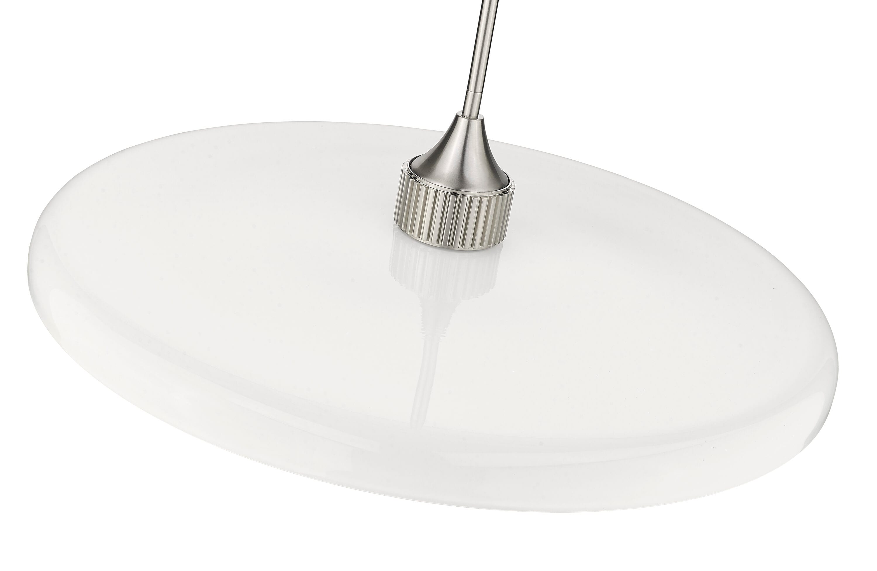 Paloma Brushed Nickel 24" LED Glass Indoor/Outdoor Pendant Light