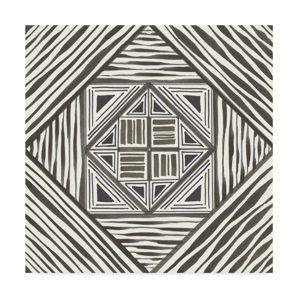 Trademark Fine Art WAP09585-C1414GG Framed 14-in H x 14-in W Abstract Print on Canvas