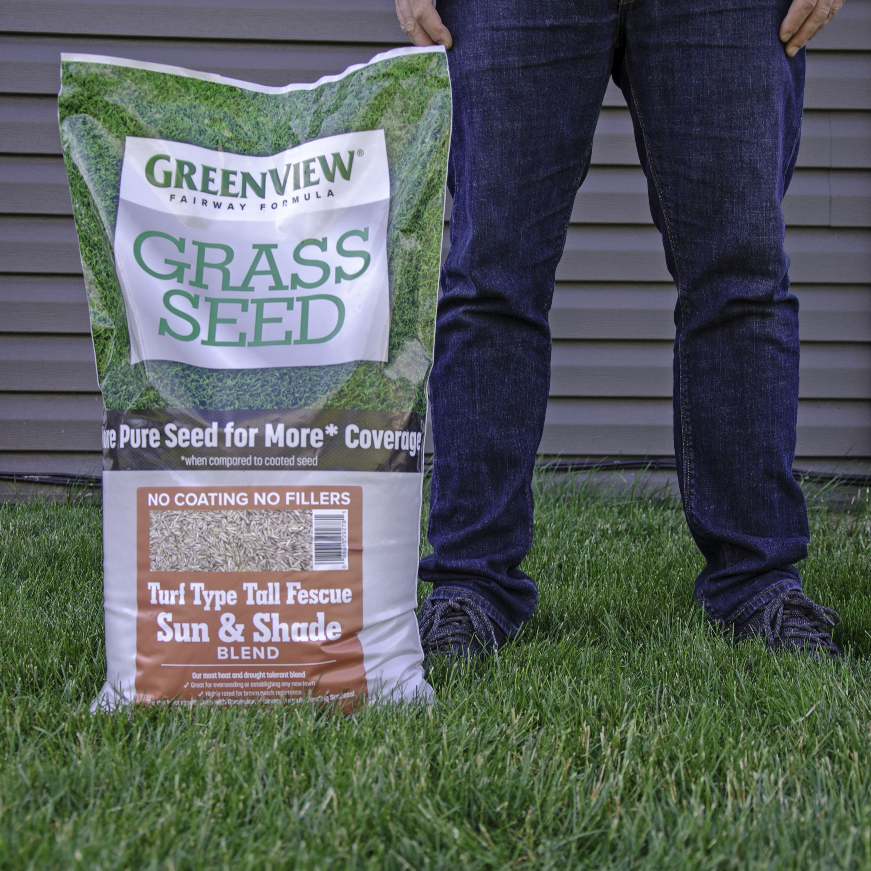 Greenview Fairway Formula Turf Type Tall Fescue Sun or Shade 20-lb ...