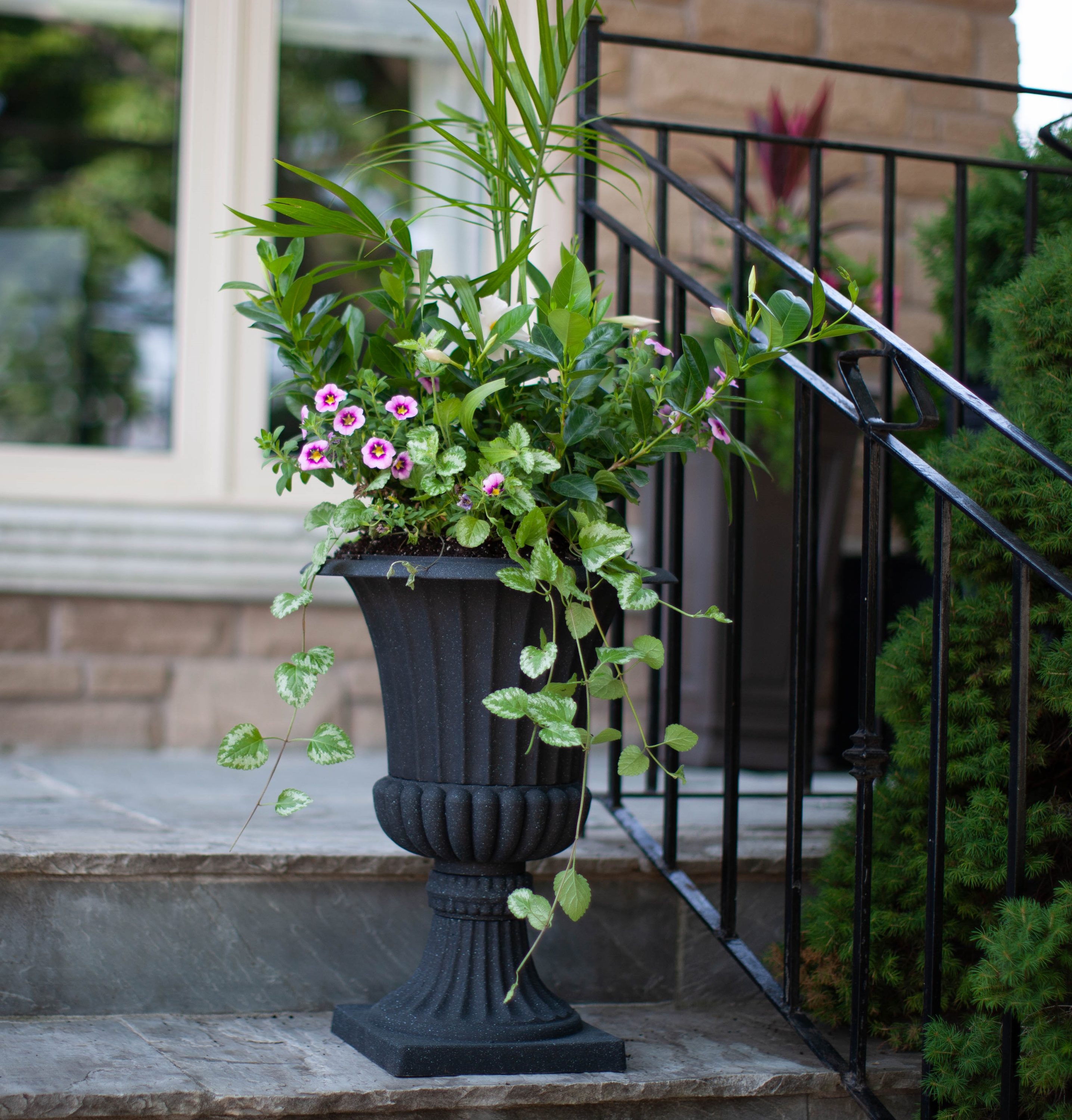 Algreen Products 42341 Planter-Window-Box - View #2