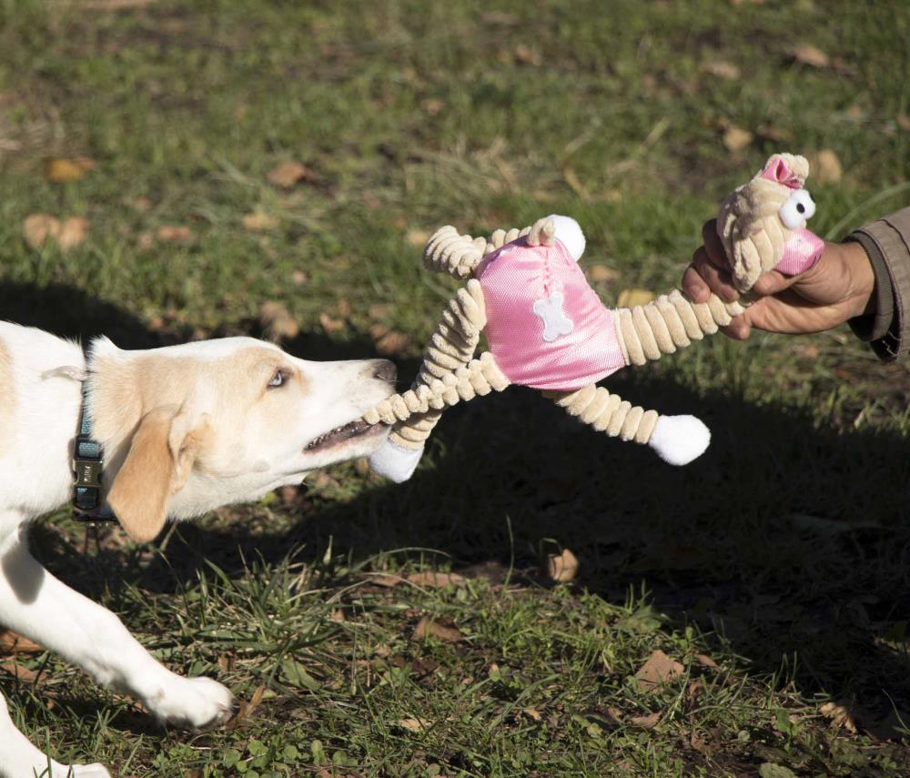 Pet Life DT2PK Dog-Toys - View #3