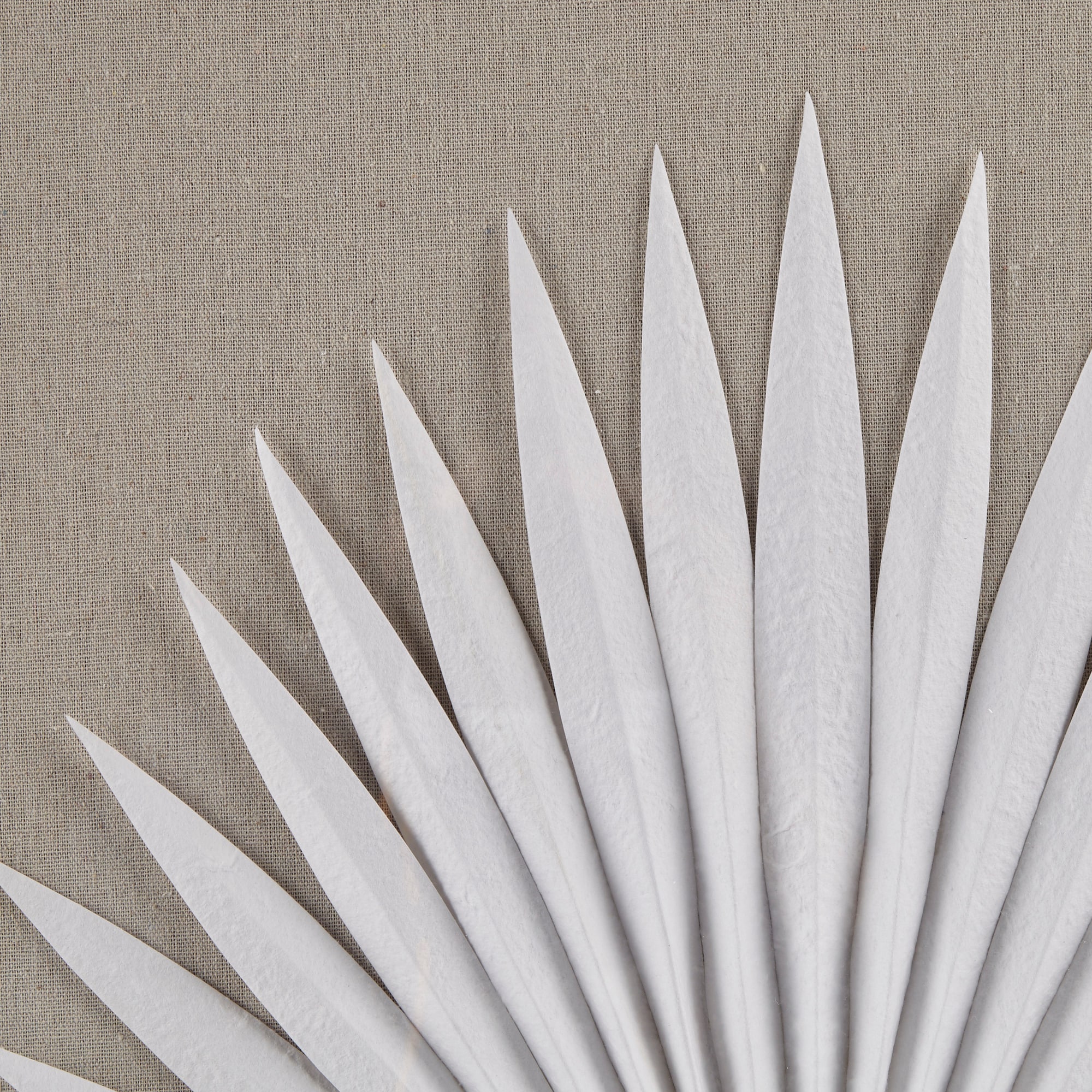 Off-White Framed Rice Paper Palm Leaves Shadowbox Set