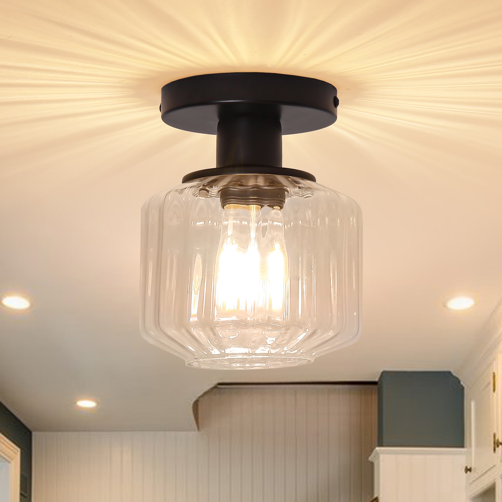 Parrot Uncle C3016BK 1 -Light 5.9-in Matte Black Semi Flush Mount Light