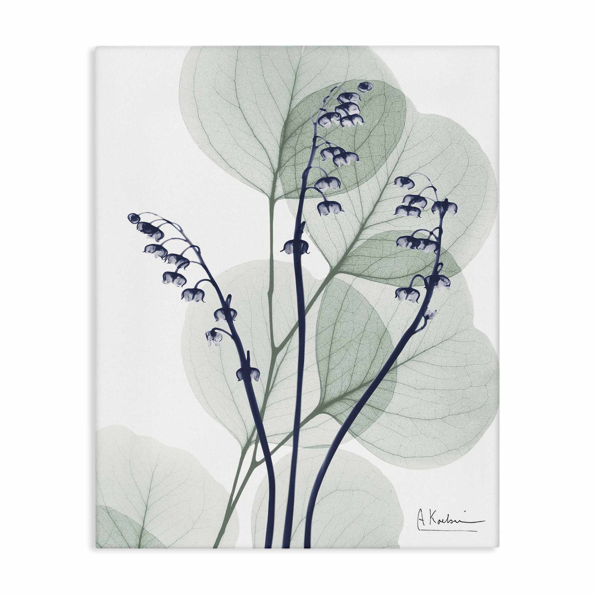 Stupell Industries BS-007-CN-36X48 Serene Modern Eucalyptus Canvas Wall Art By Albert Koetsier 36 x 48