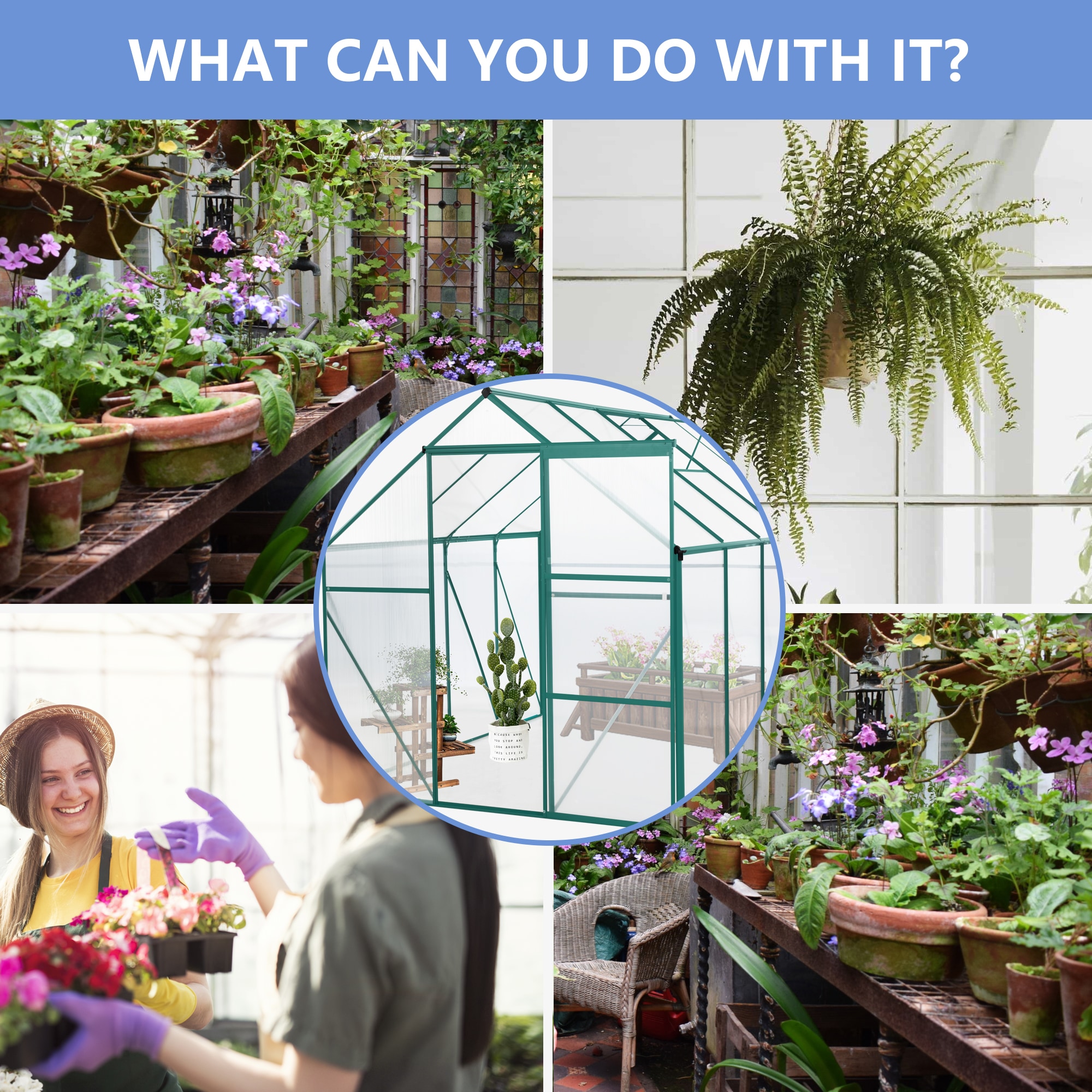 Clihome CL-WC54S04 greenhouses - View #5