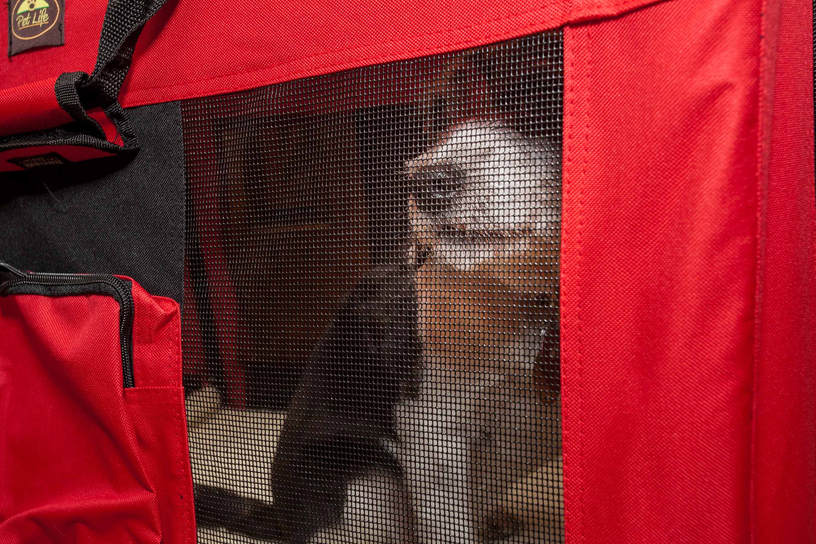 Pet Life H3RDXL Pet-Crates-Carriers - View #4