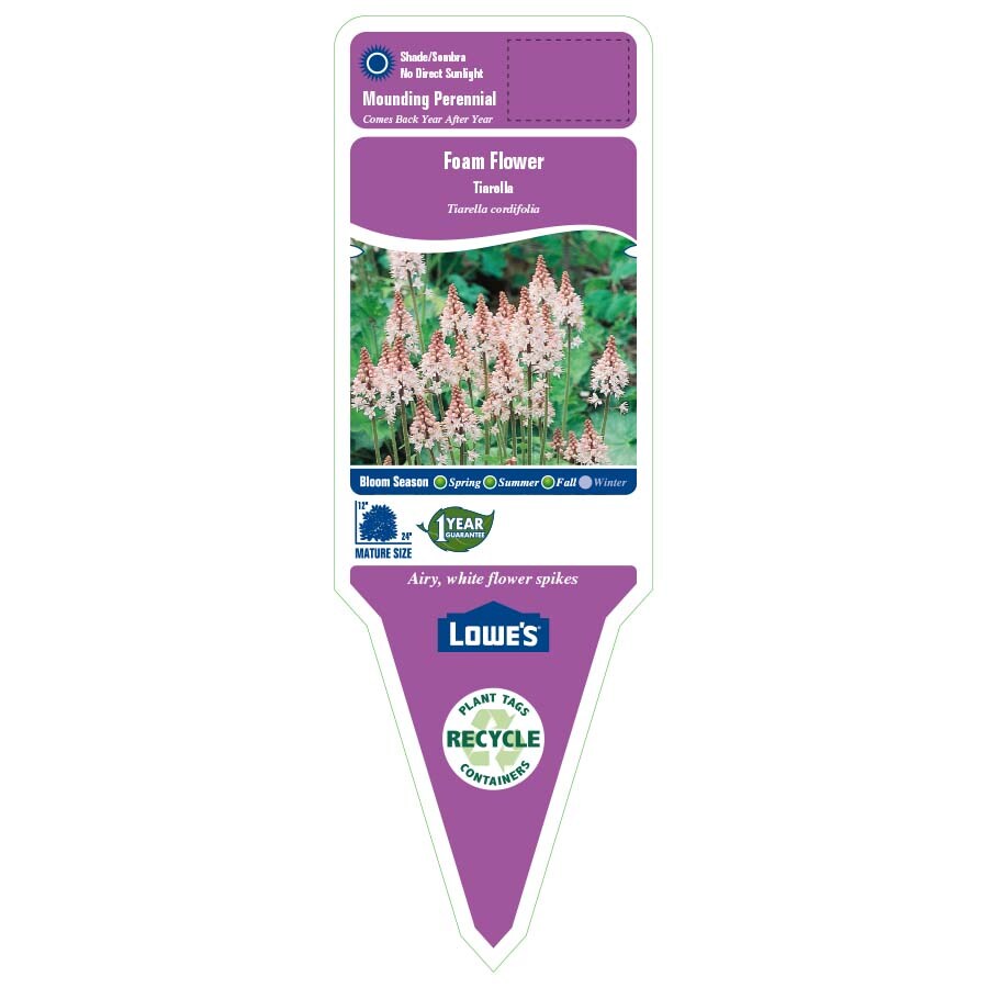 Lowe's 443354 perennials - View #2