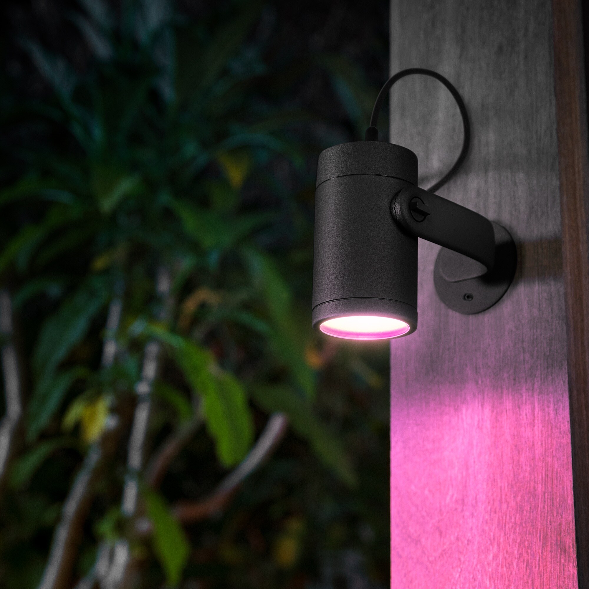 Philips Hue Lily Outdoor 8-Watt Black Low Voltage Plug-in Smart LED Spot Light Kit in the Flood Lights department at Lowes.com
