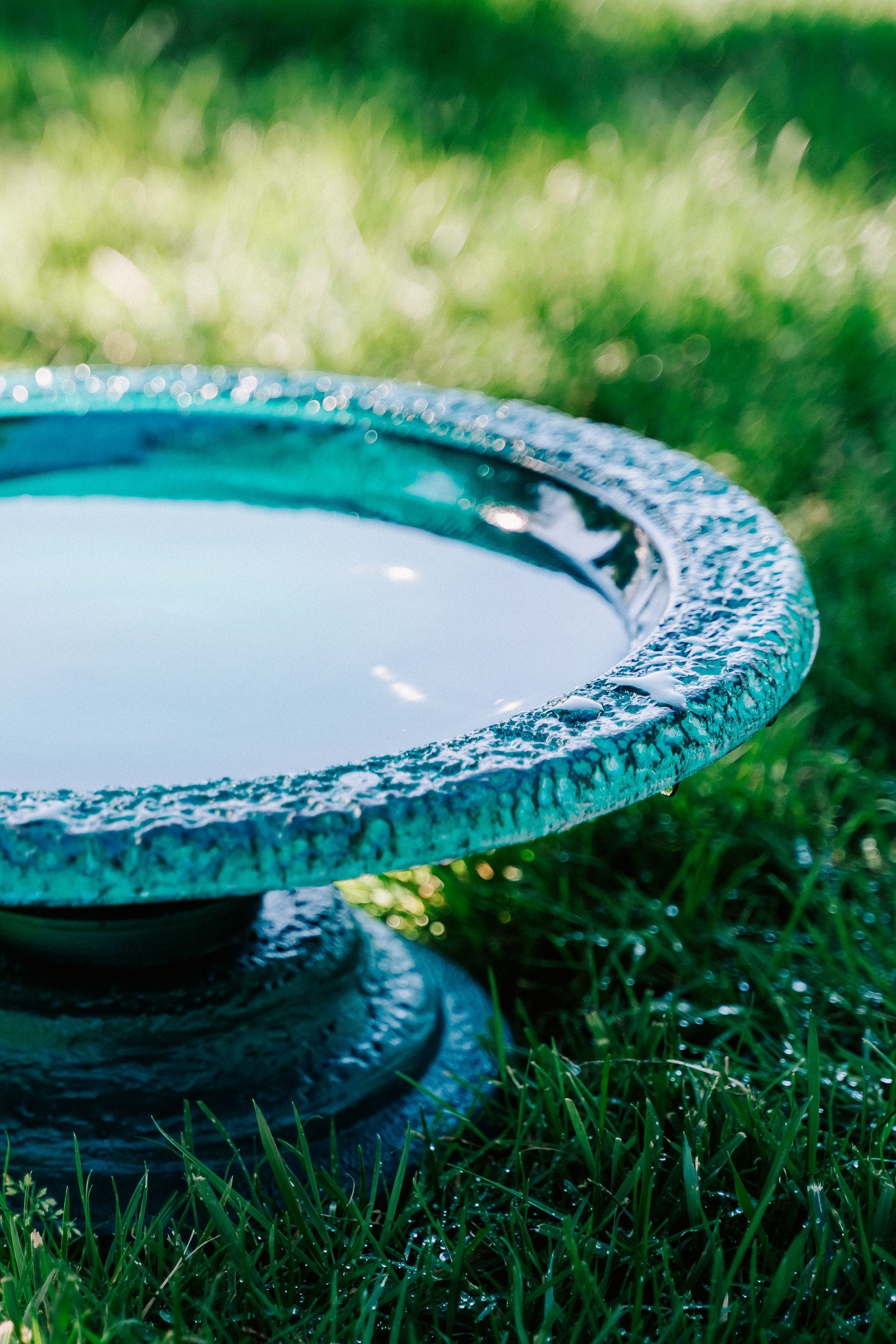 XBrand GE2406BBGN-2 birdbaths - View #5