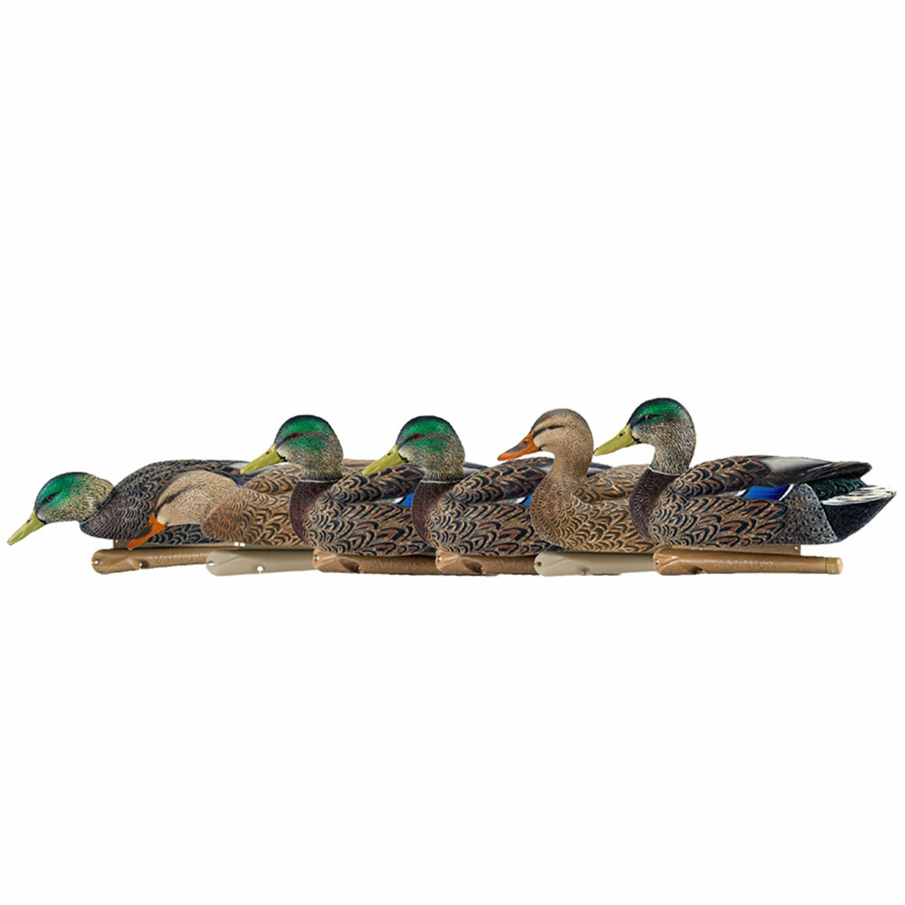  Avian X 399261 18.3 x 15.8 x 12.4 Inche(s) Decoy 6 -Pack