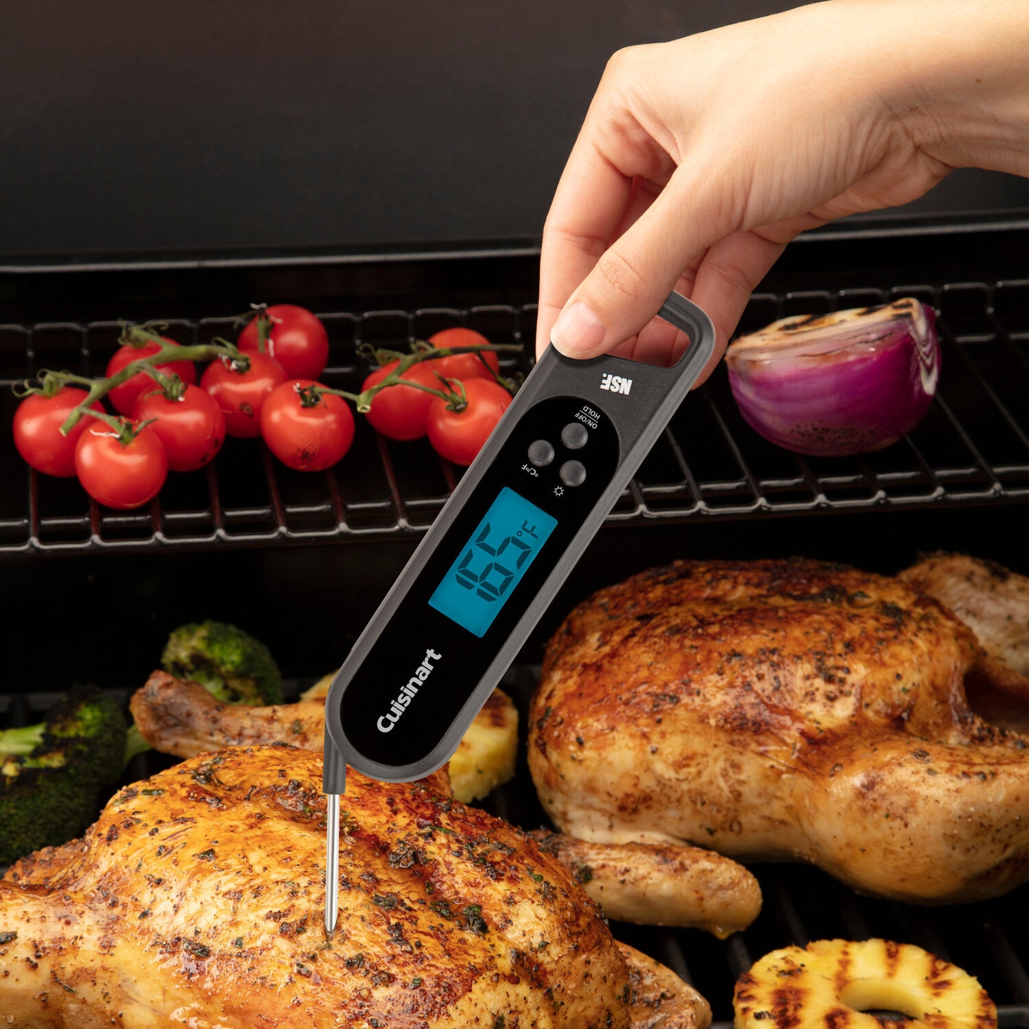 Taylor 3-inch Dial Leave-in Meat Thermometer with Meat Chart on Dial